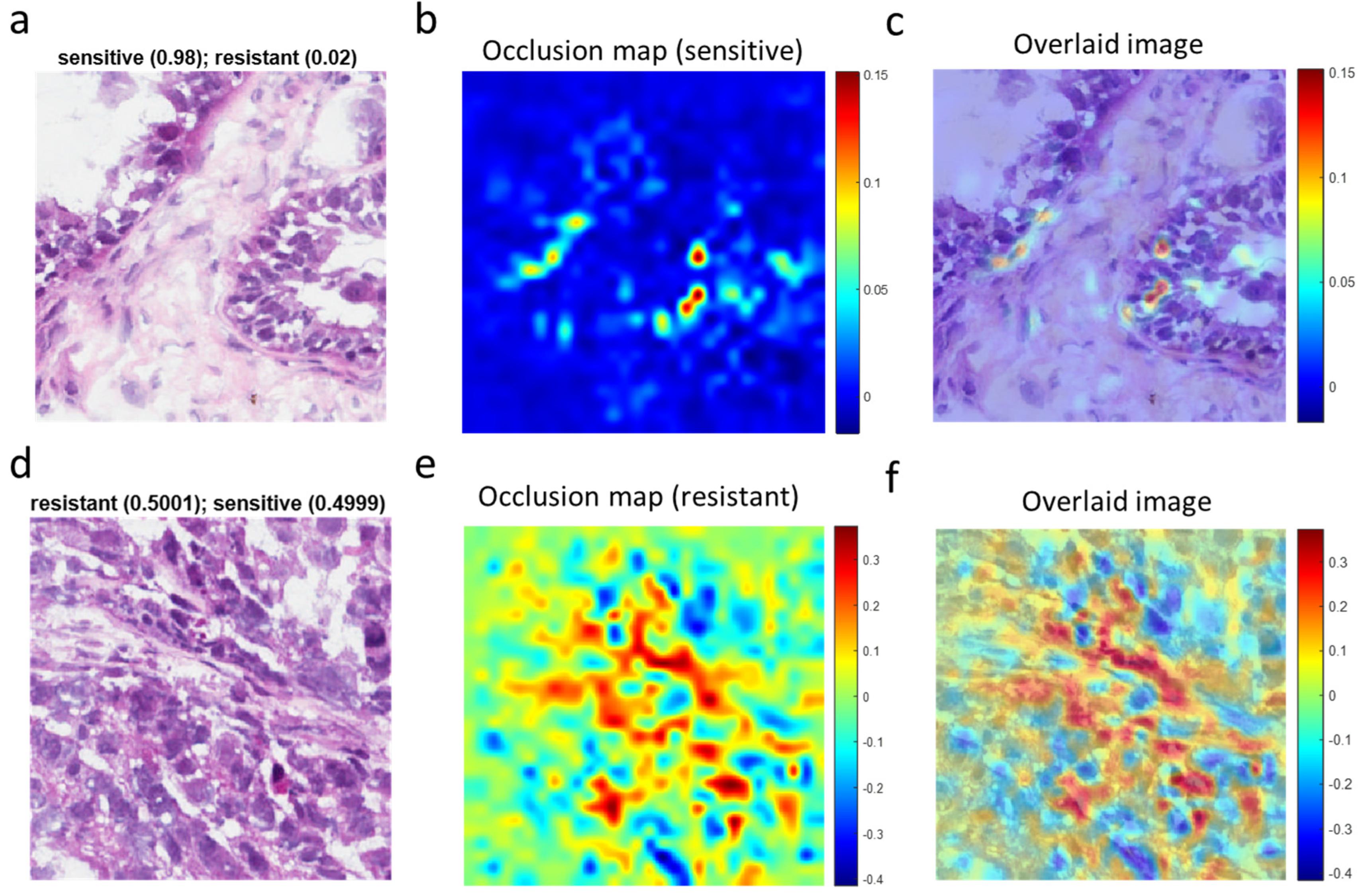 Cancers 15 04044 g005 Cancers 15 04044 g005