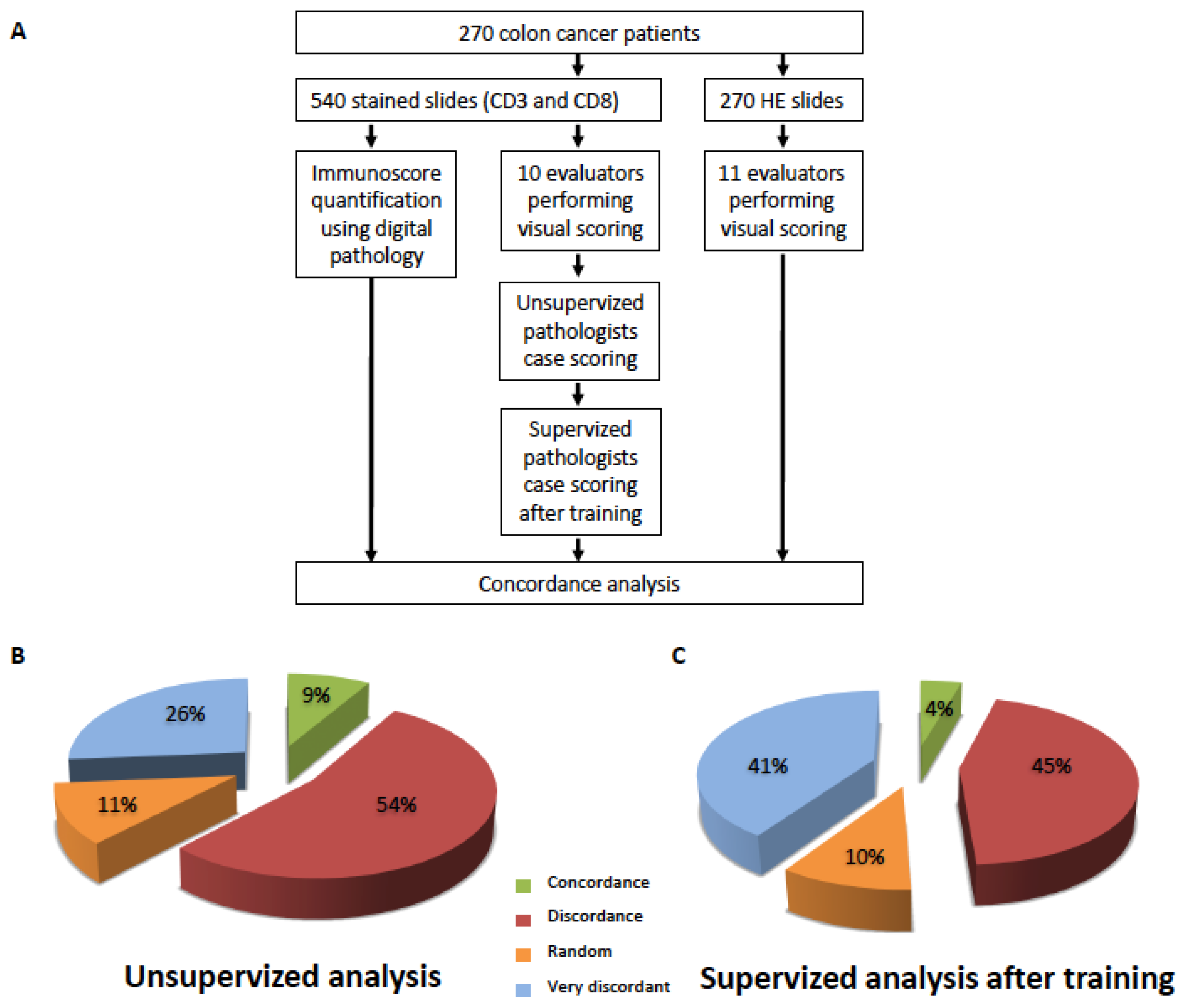 Cancers 15 04045 g001