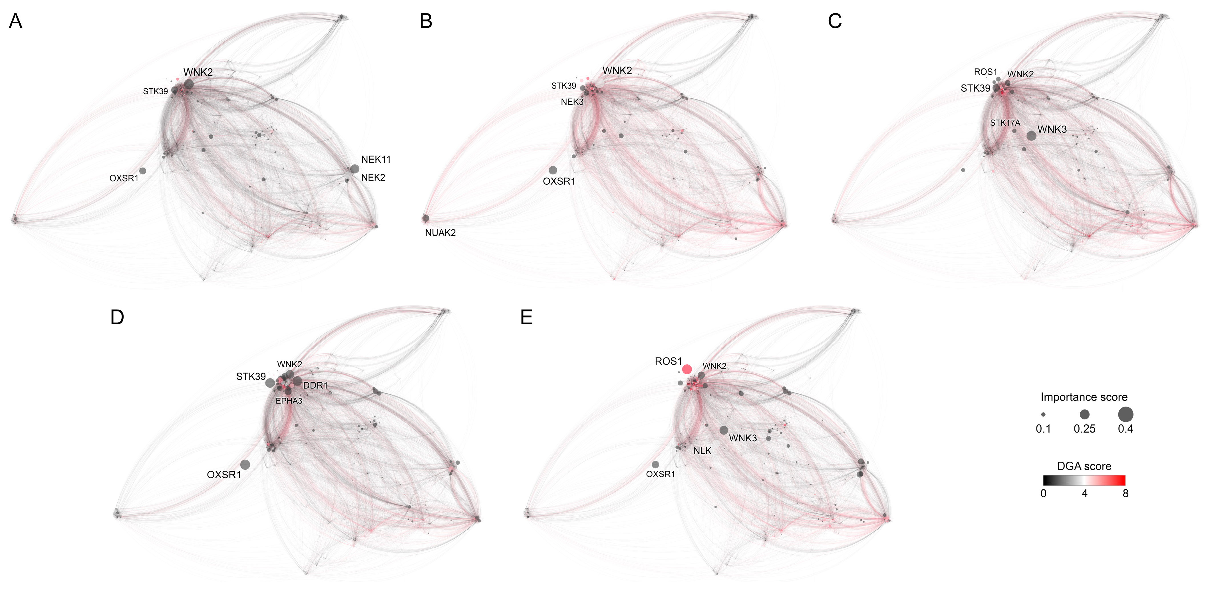 Cancers 15 04050 g006