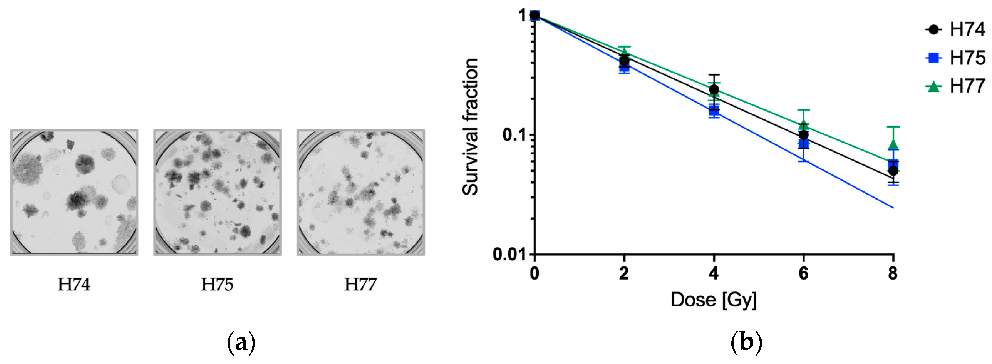 Cancers 15 04051 g001