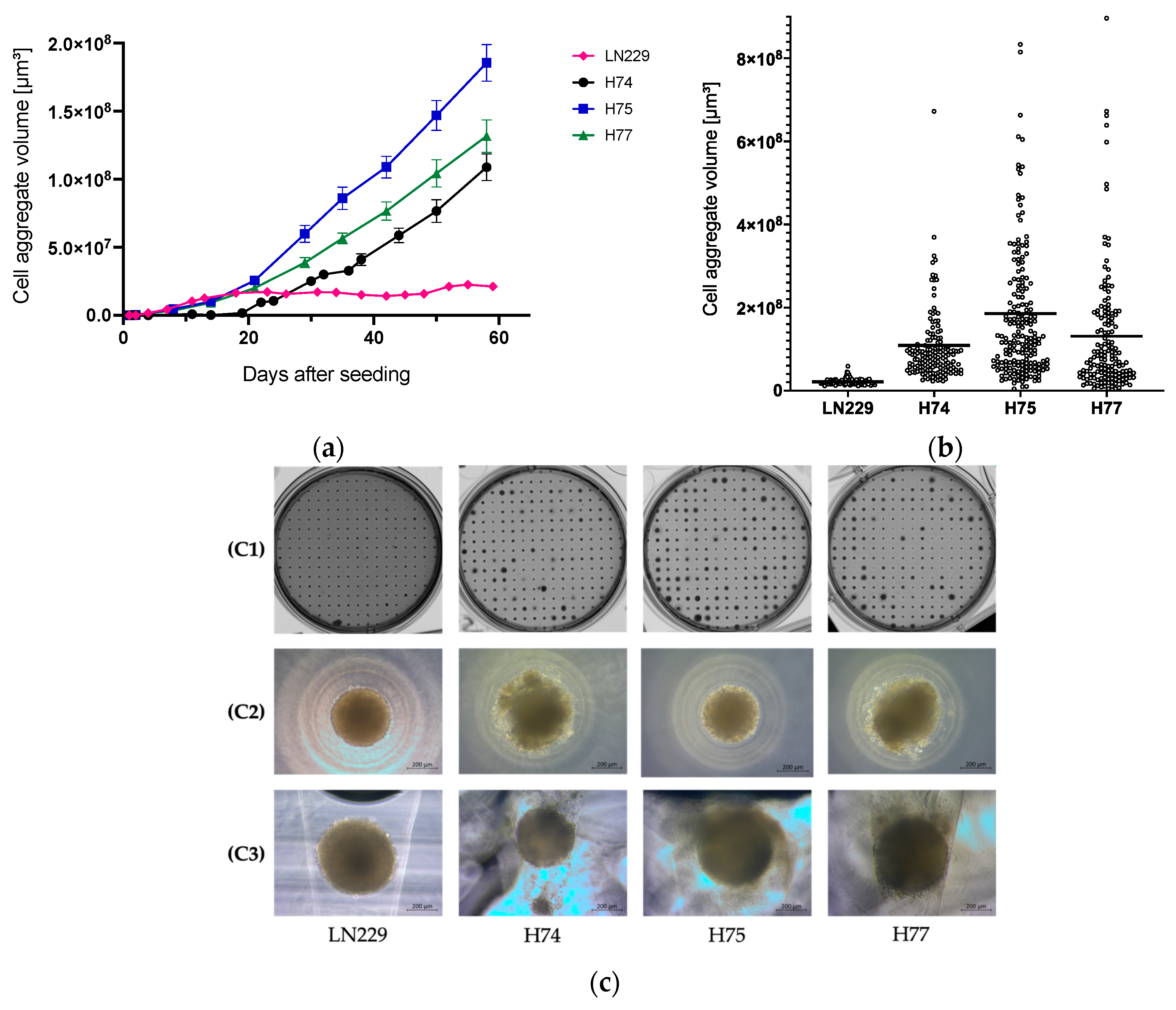 Cancers 15 04051 g002