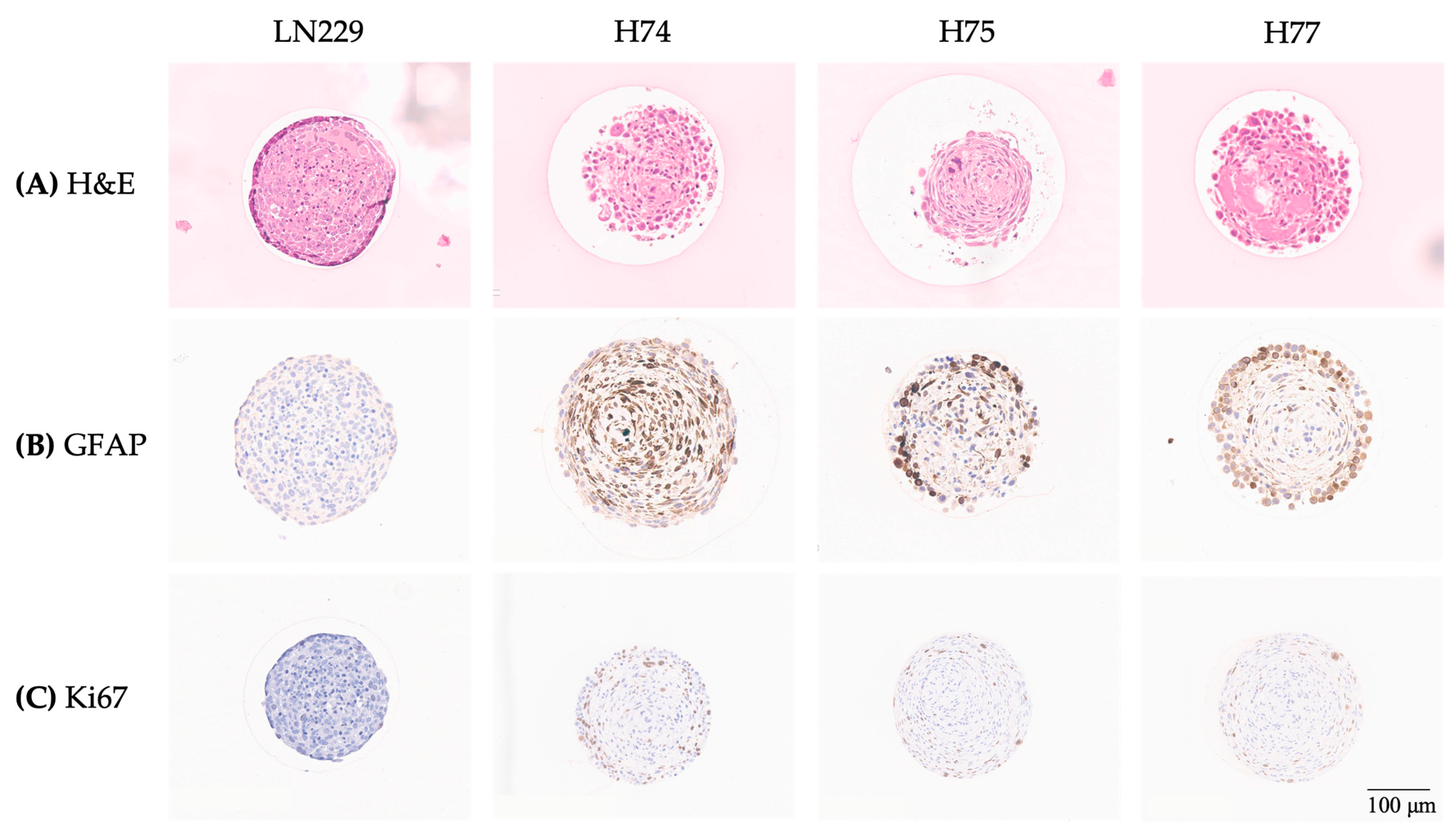 Cancers 15 04051 g003