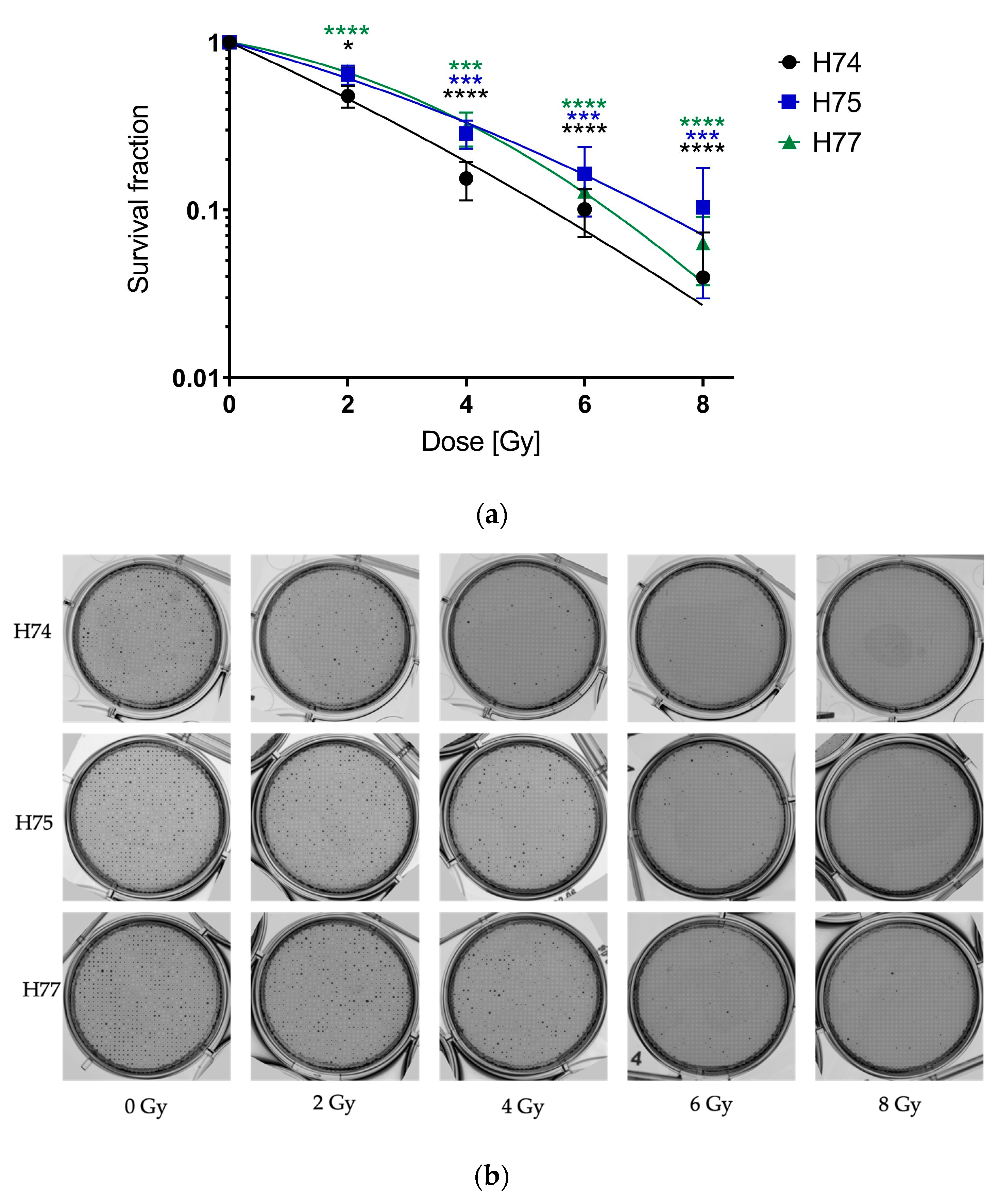 Cancers 15 04051 g005