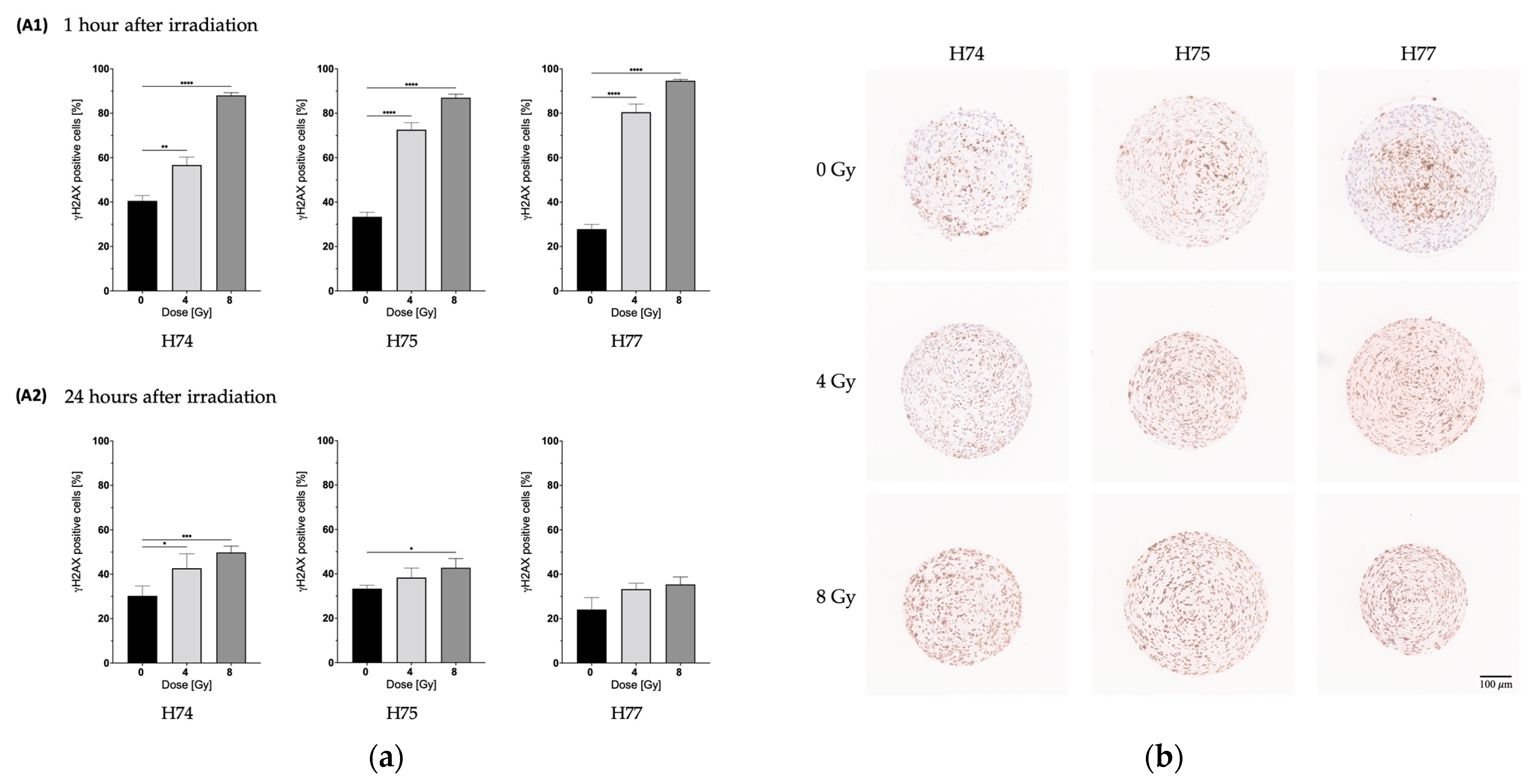 Cancers 15 04051 g006