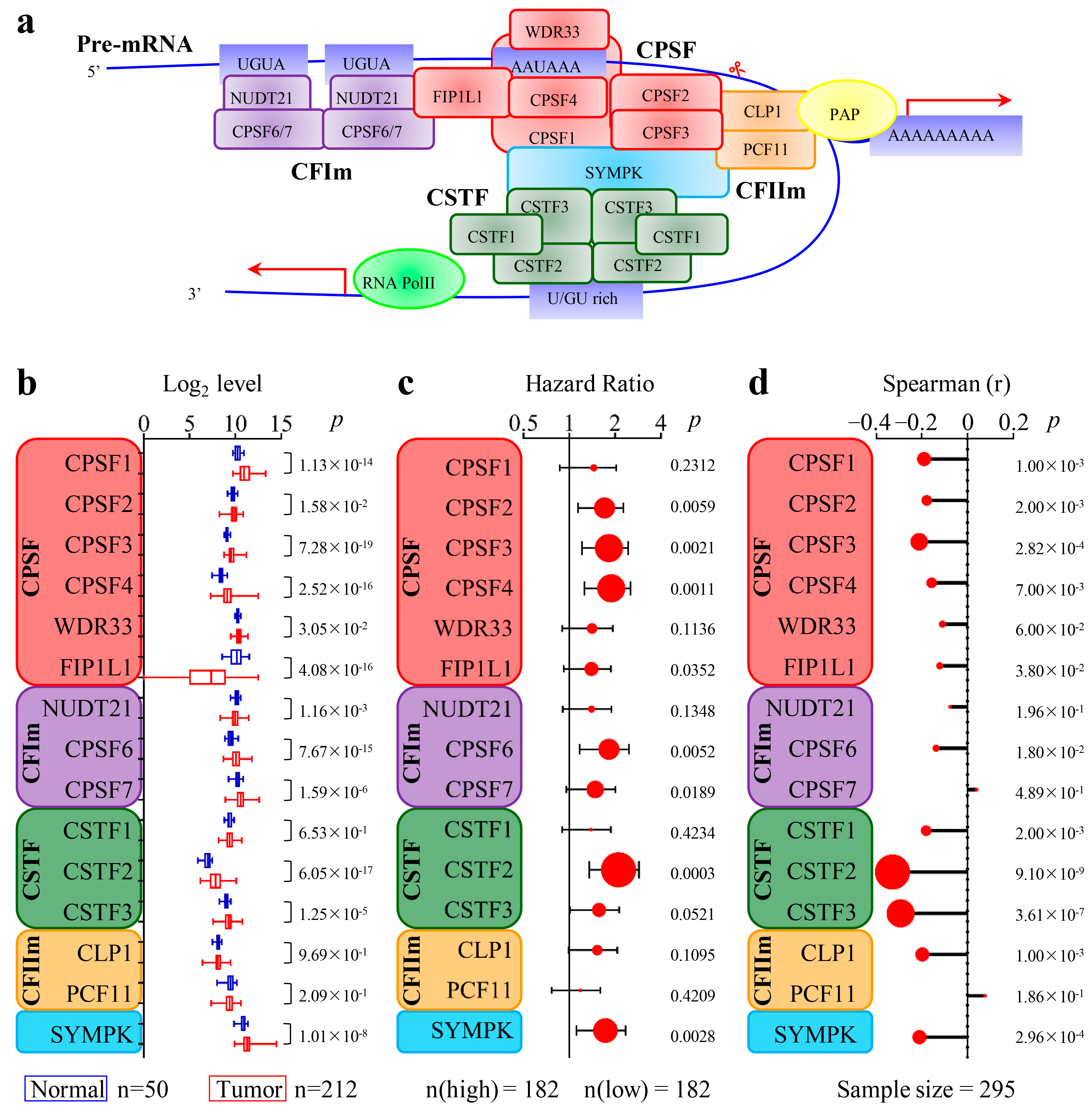 Cancers 15 04057 g001