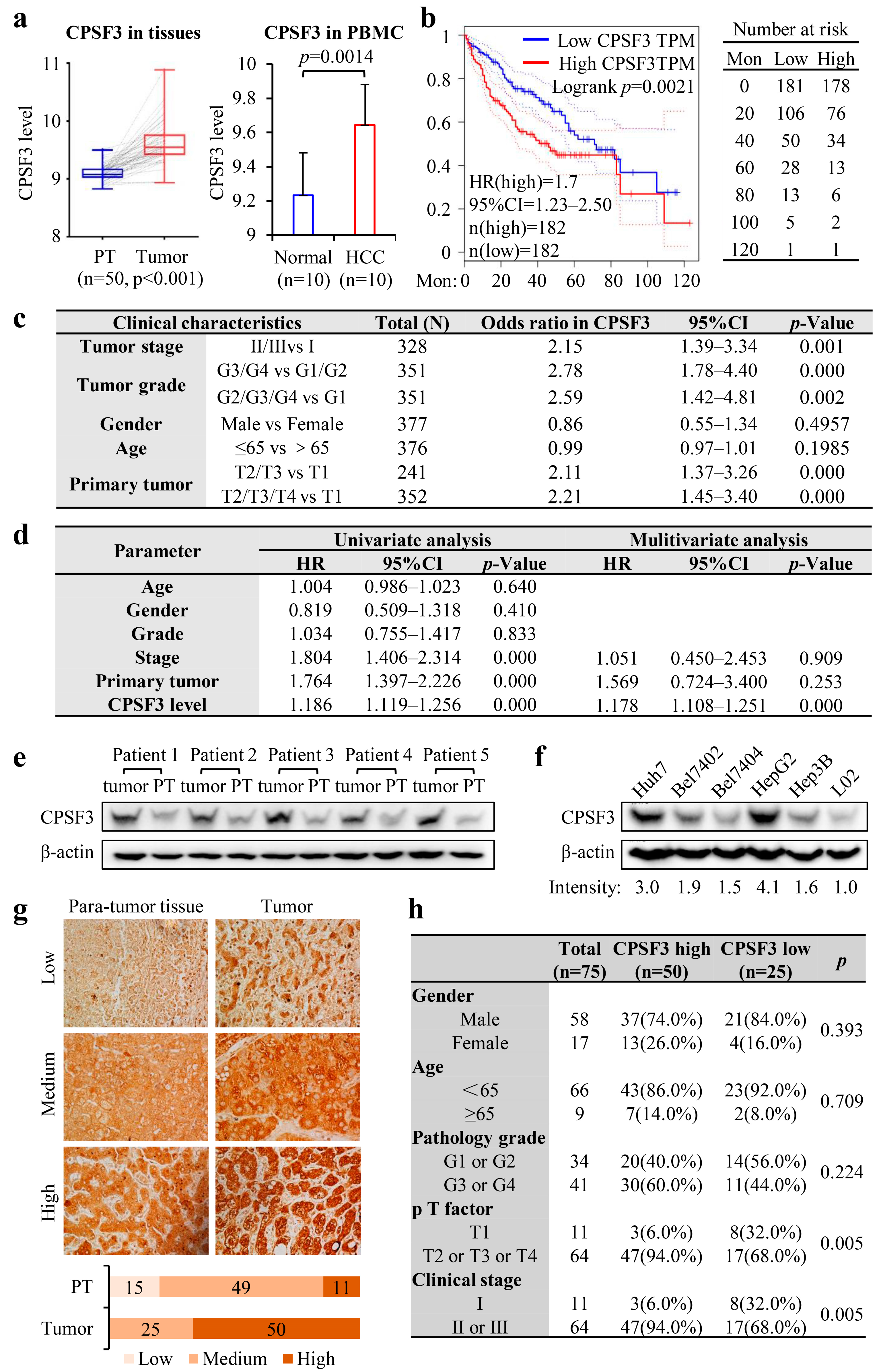 Cancers 15 04057 g002