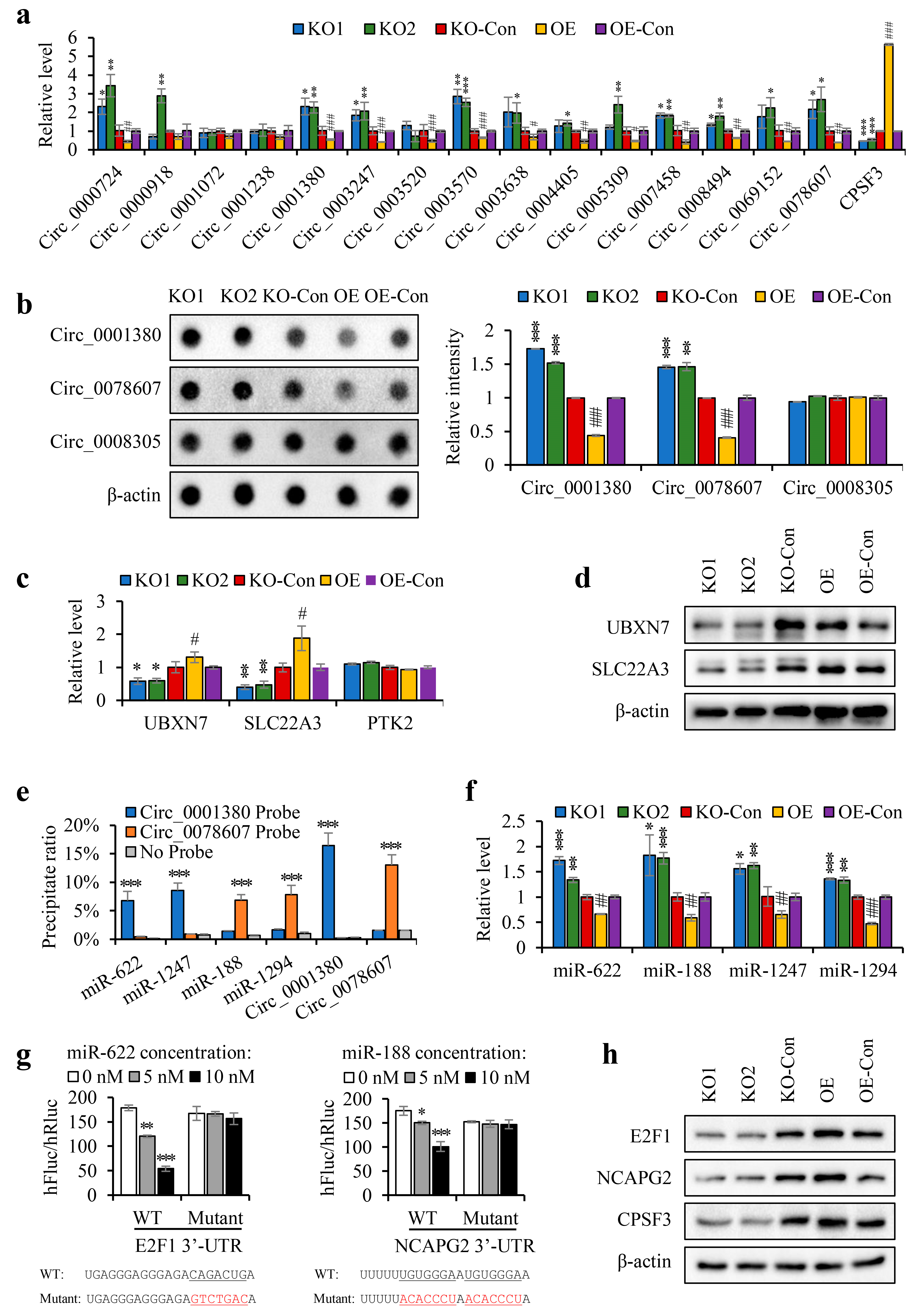 Cancers 15 04057 g006