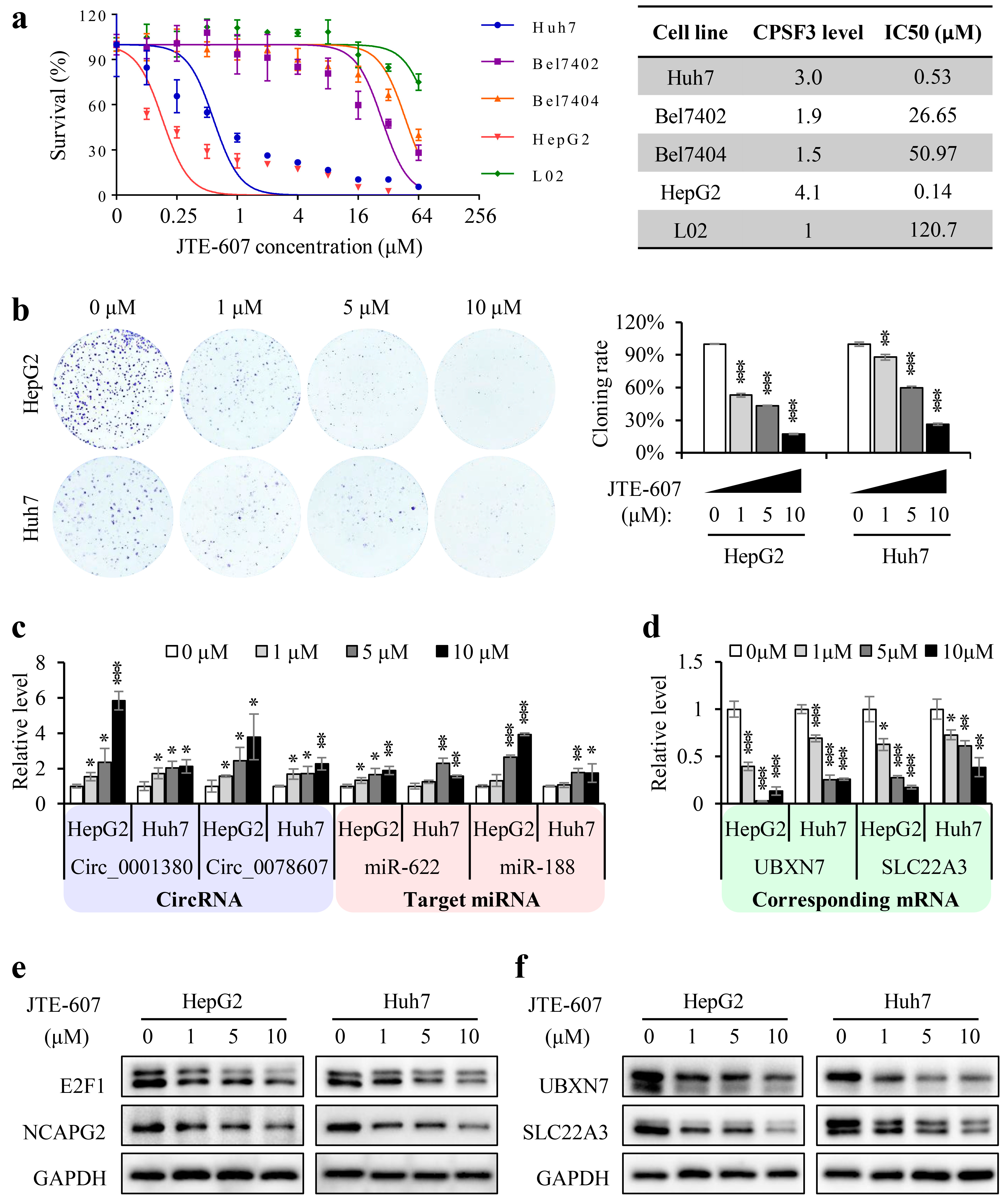 Cancers 15 04057 g007