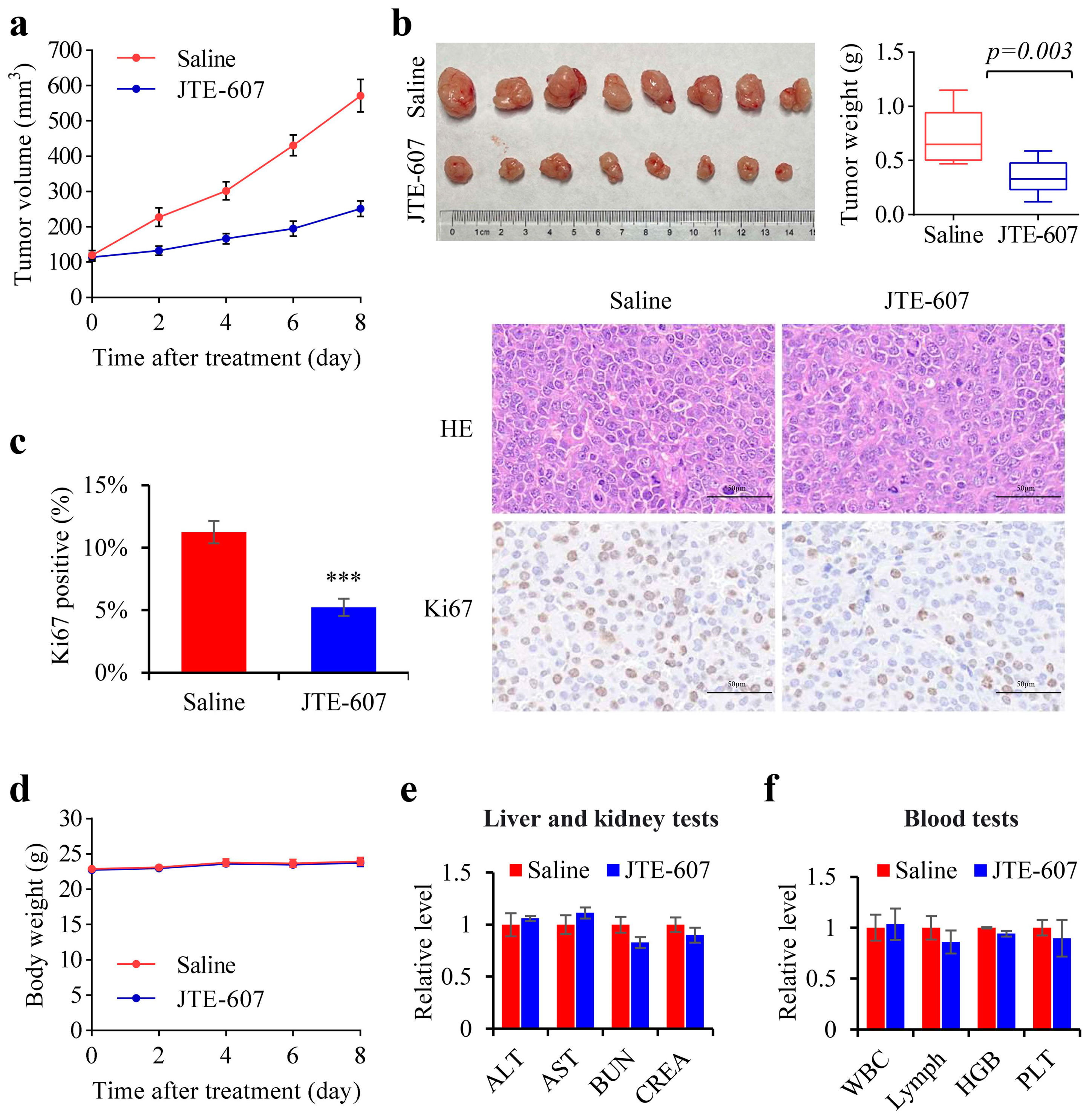 Cancers 15 04057 g008