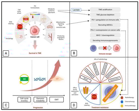 Cancers 15 04058 g001