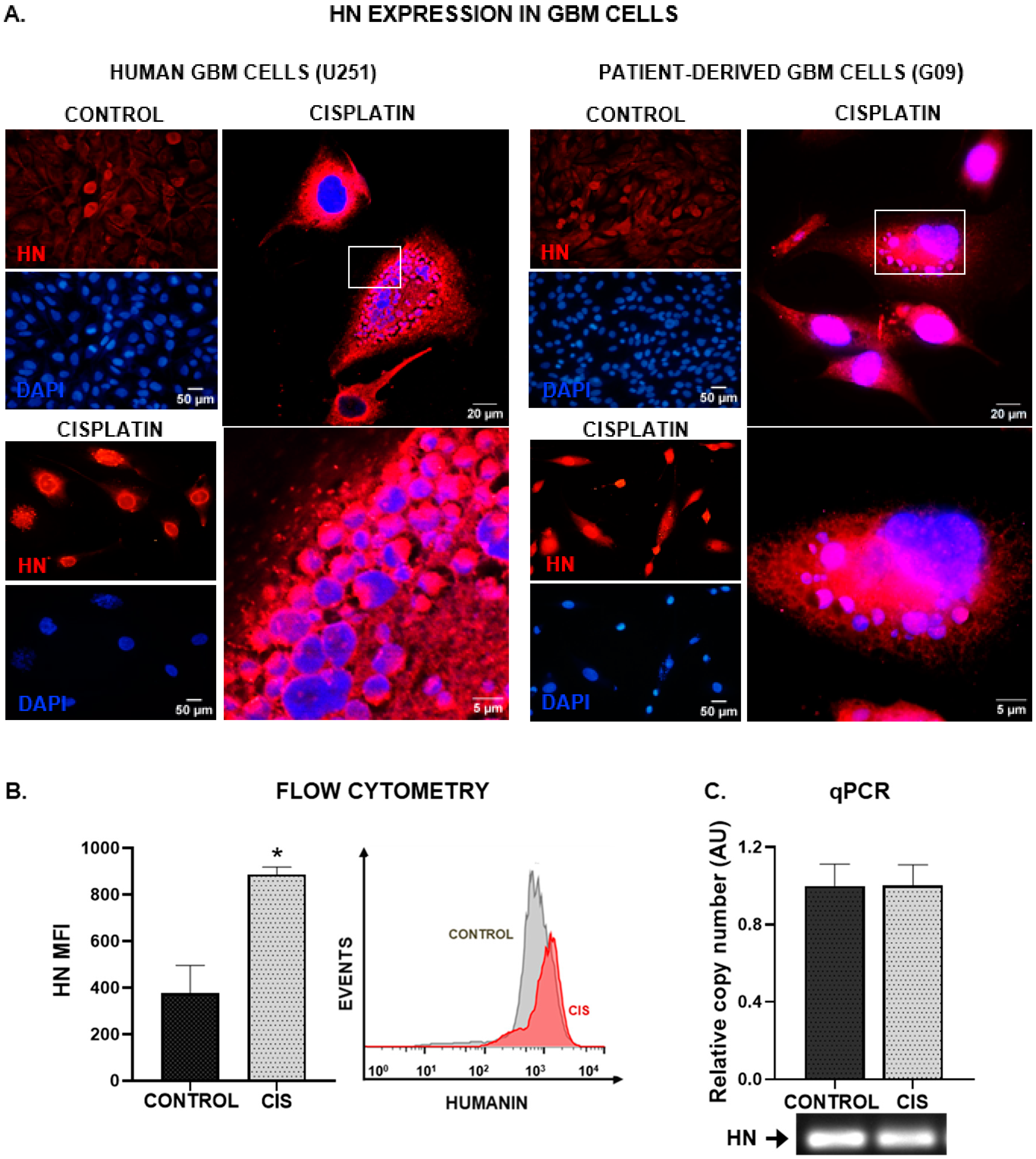 Cancers 15 04061 g001