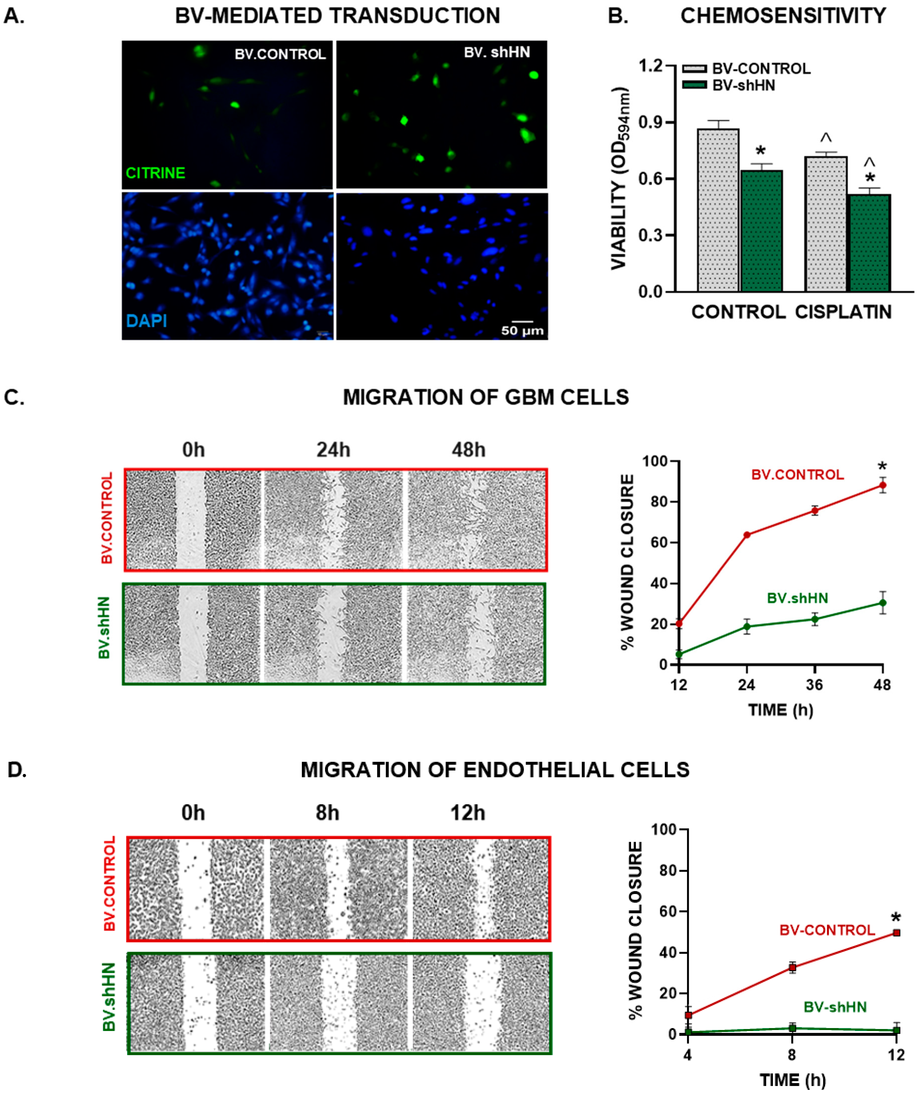 Cancers 15 04061 g005