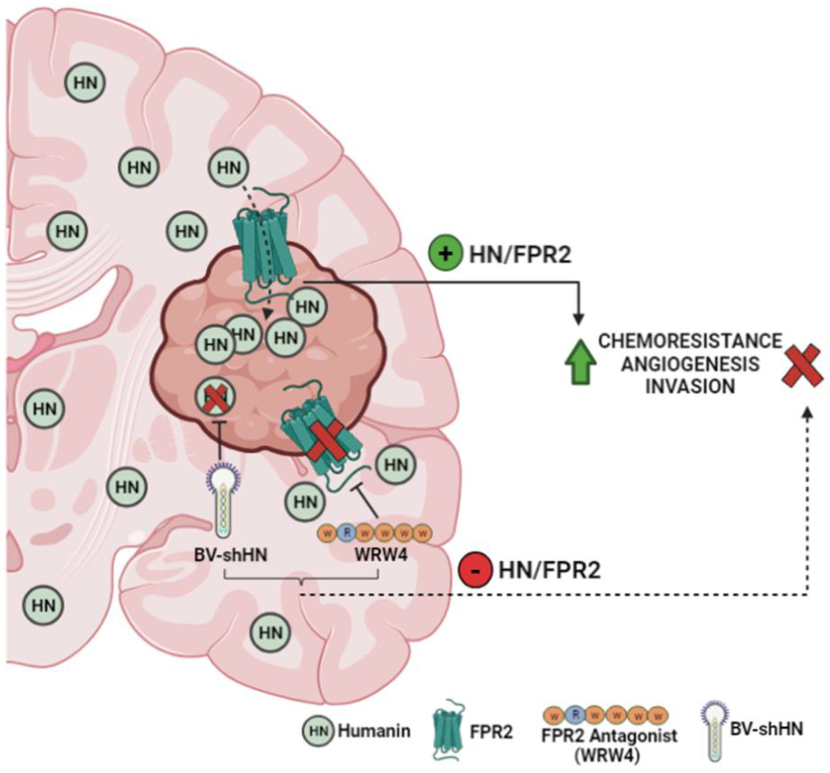 Cancers 15 04061 g008