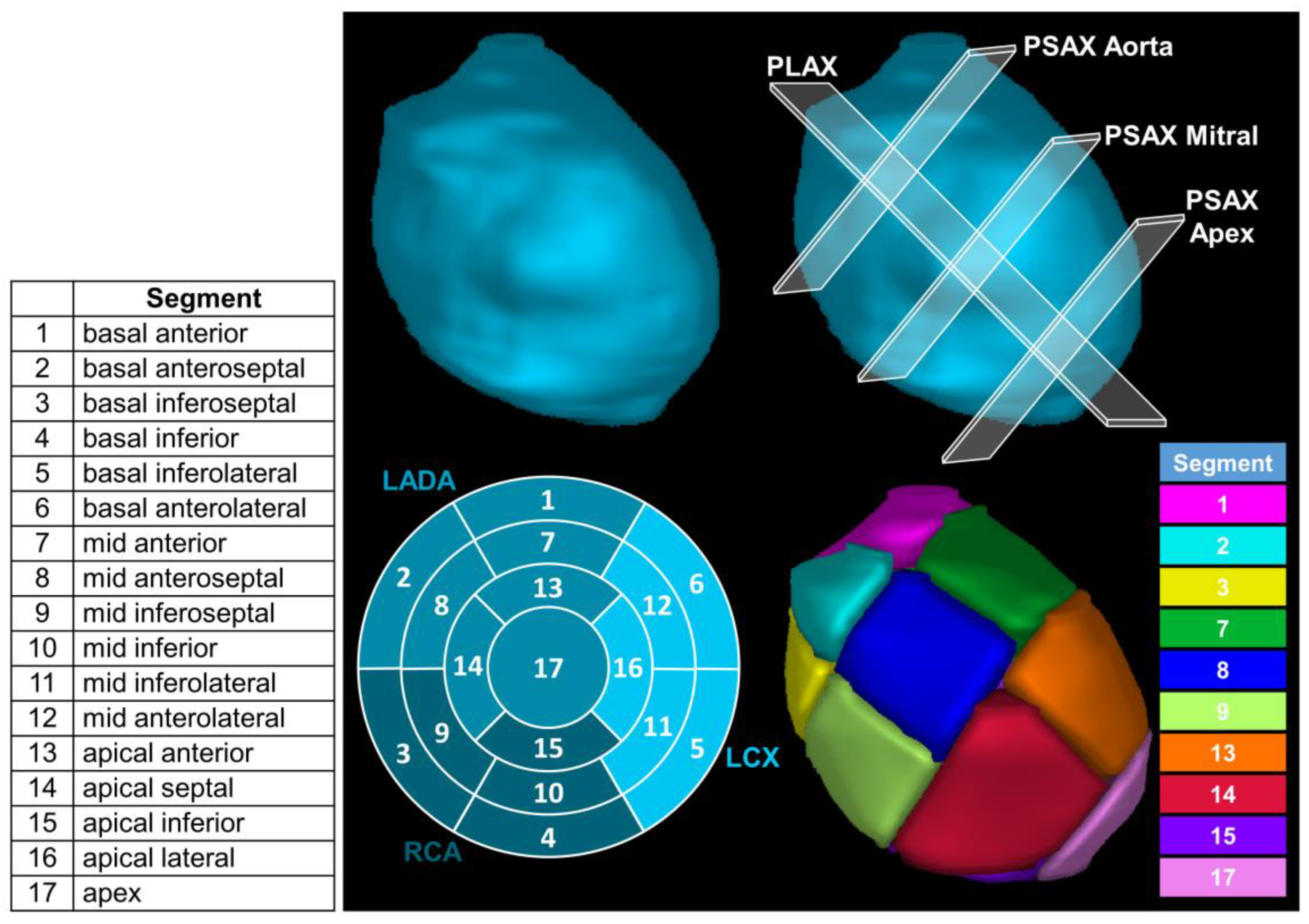 Cancers 15 04062 g001