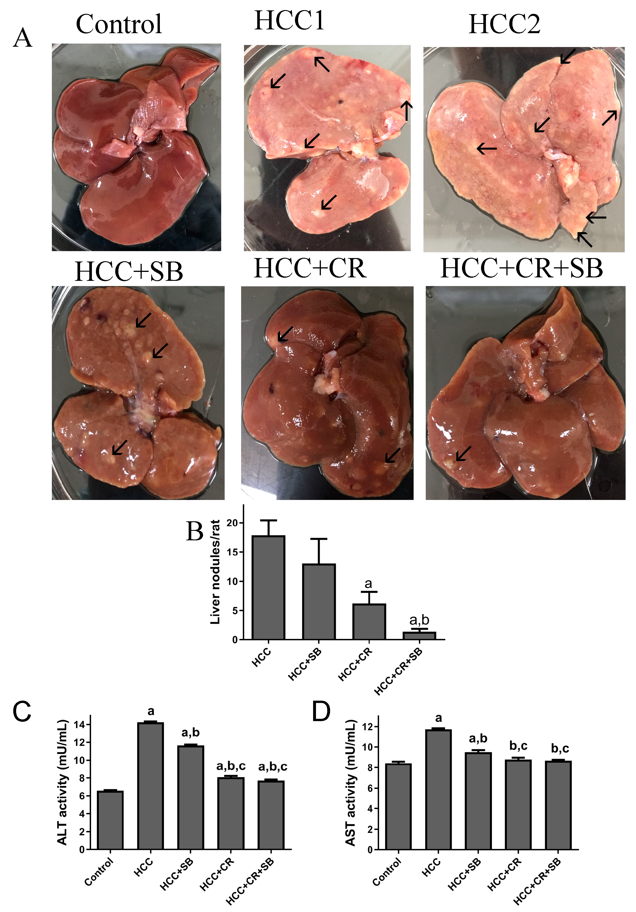 Cancers 15 04063 g002 Cancers 15 04063 g002