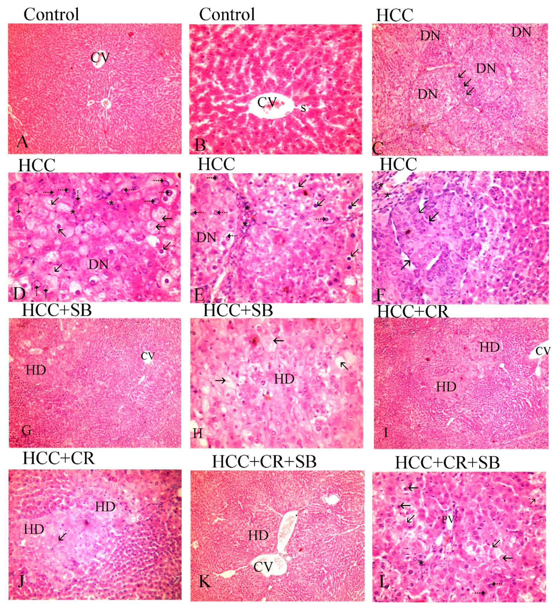 Cancers 15 04063 g003 Cancers 15 04063 g003