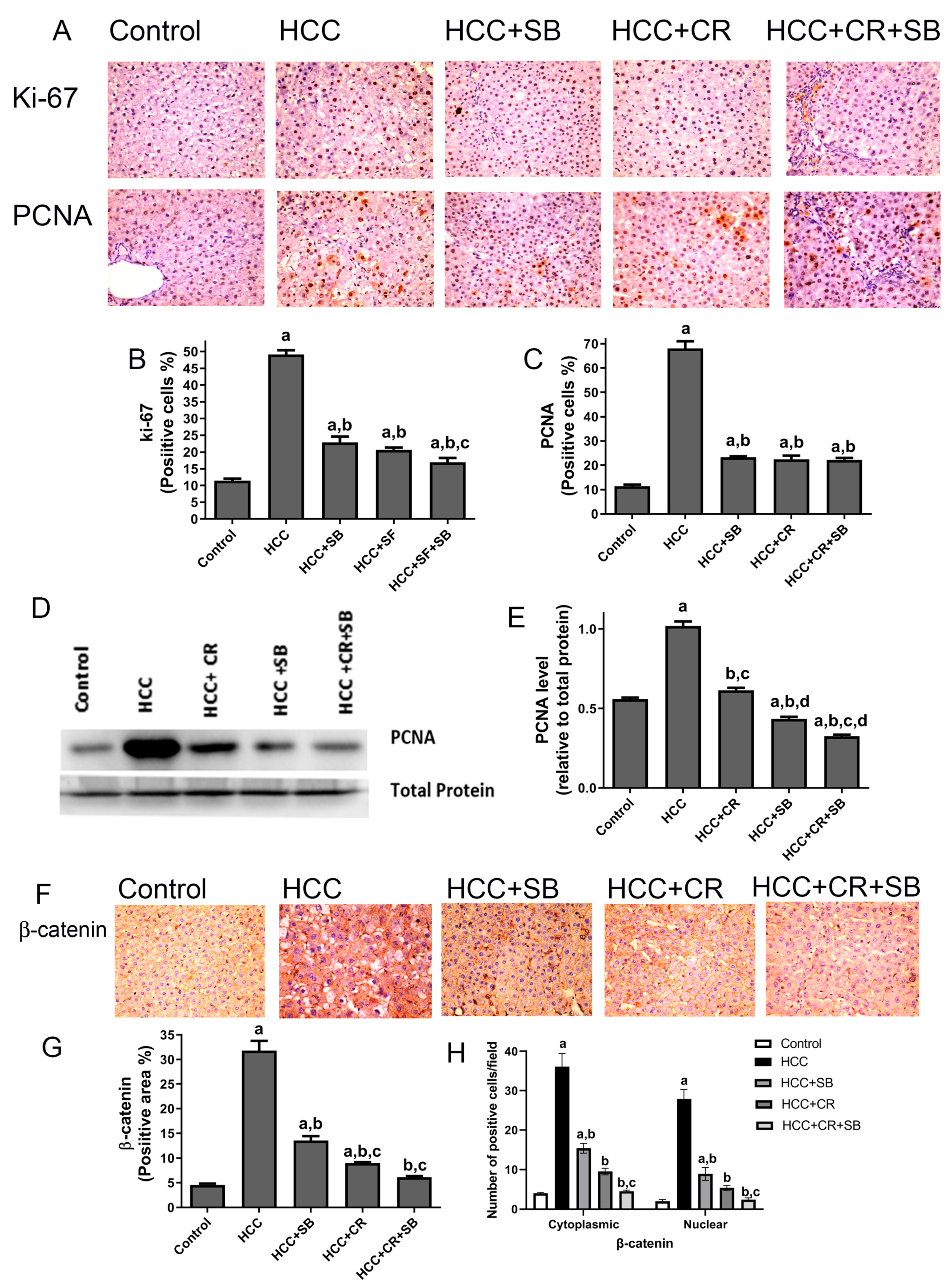 Cancers 15 04063 g005 Cancers 15 04063 g005