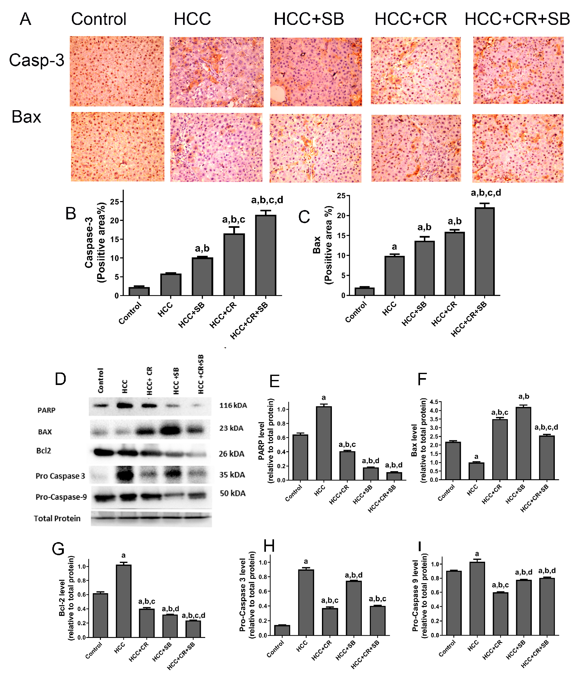 Cancers 15 04063 g006 Cancers 15 04063 g006