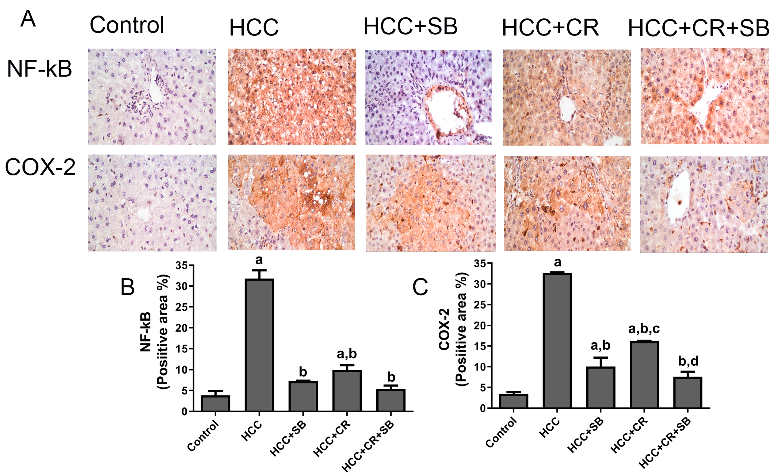 Cancers 15 04063 g007 Cancers 15 04063 g007