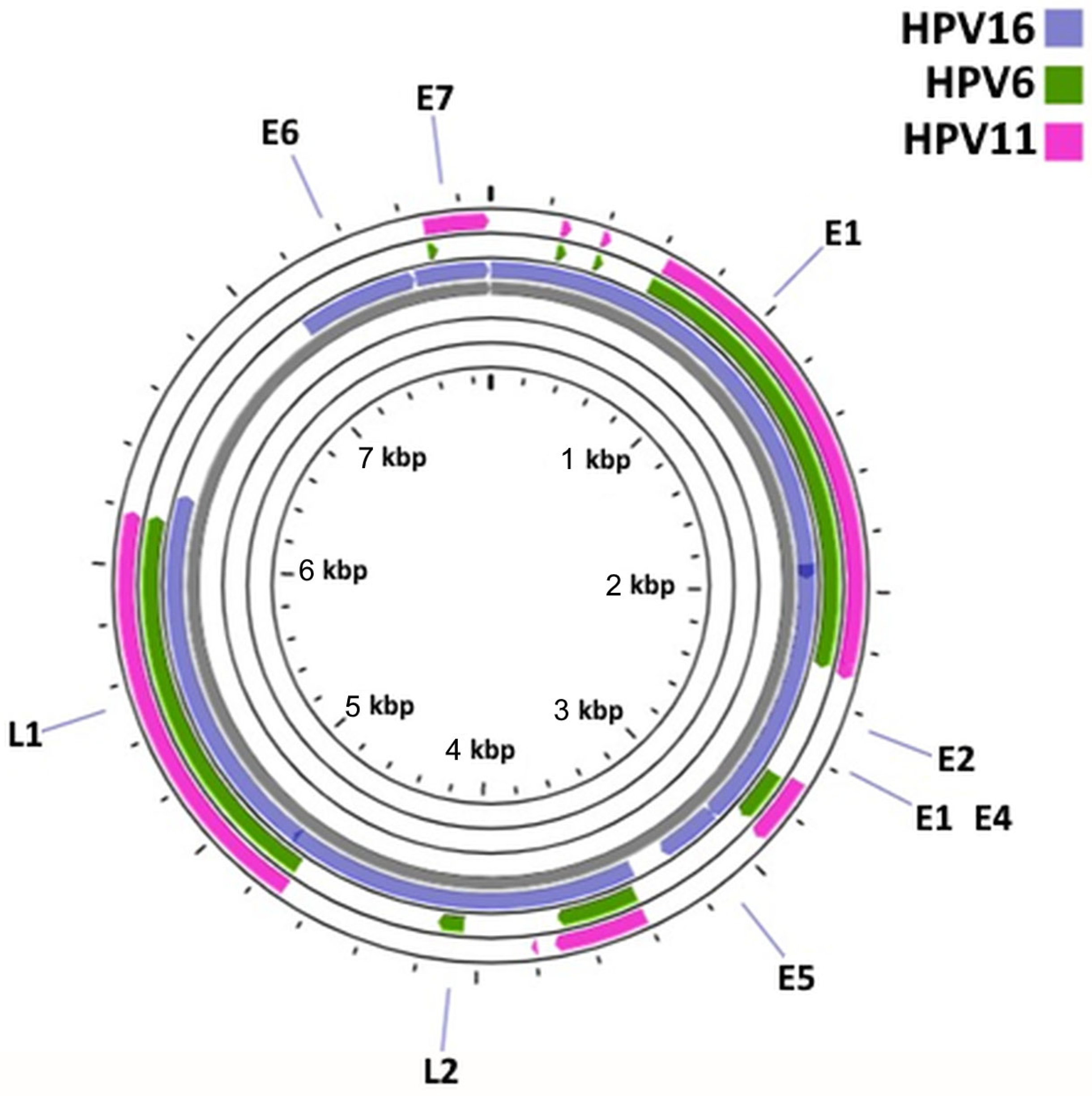 Cancers 15 04068 g002