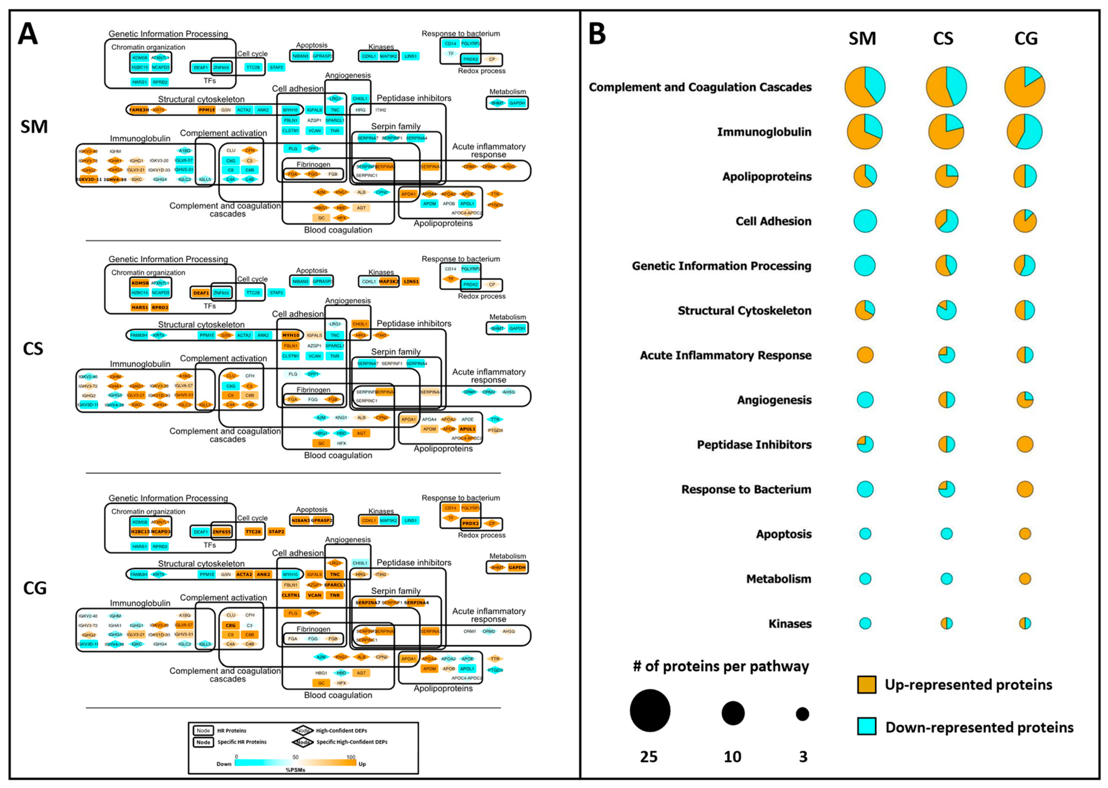 Cancers 15 04070 g004 Cancers 15 04070 g004