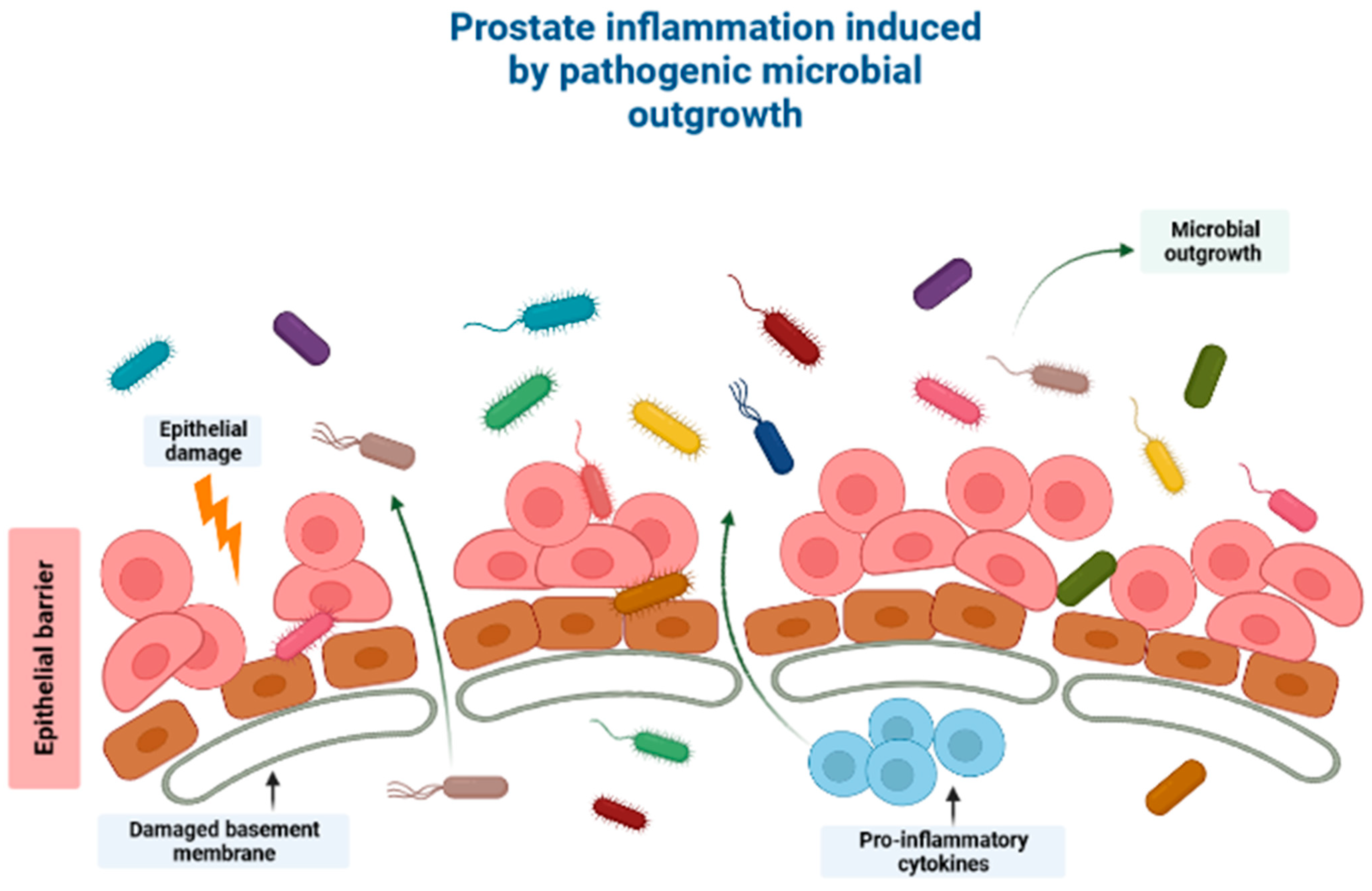 Cancers 15 04086 g001