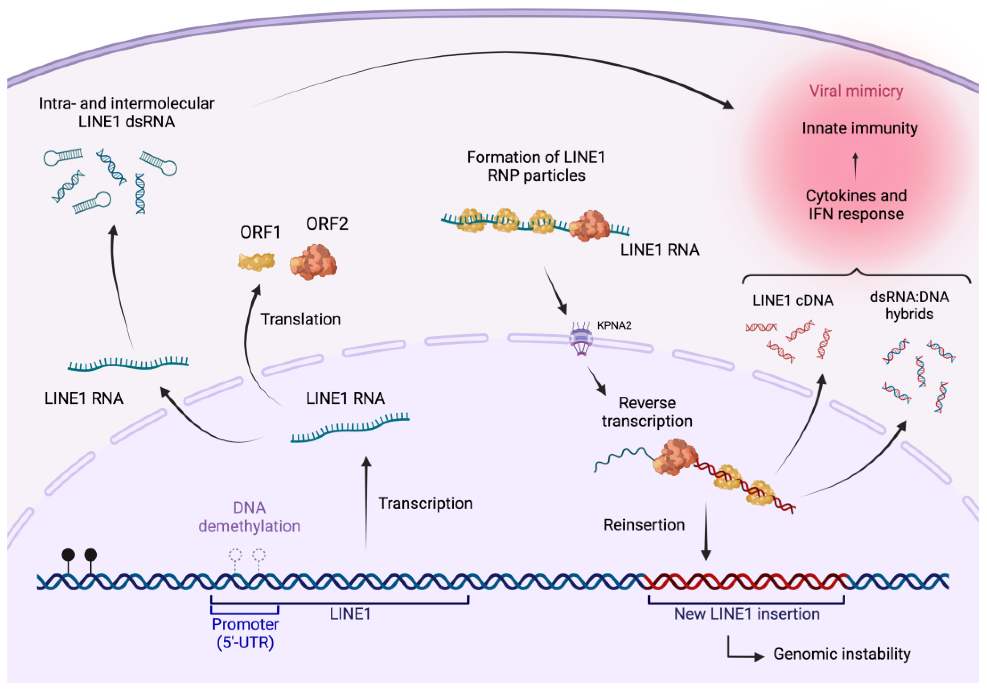 Cancers 15 04119 g001
