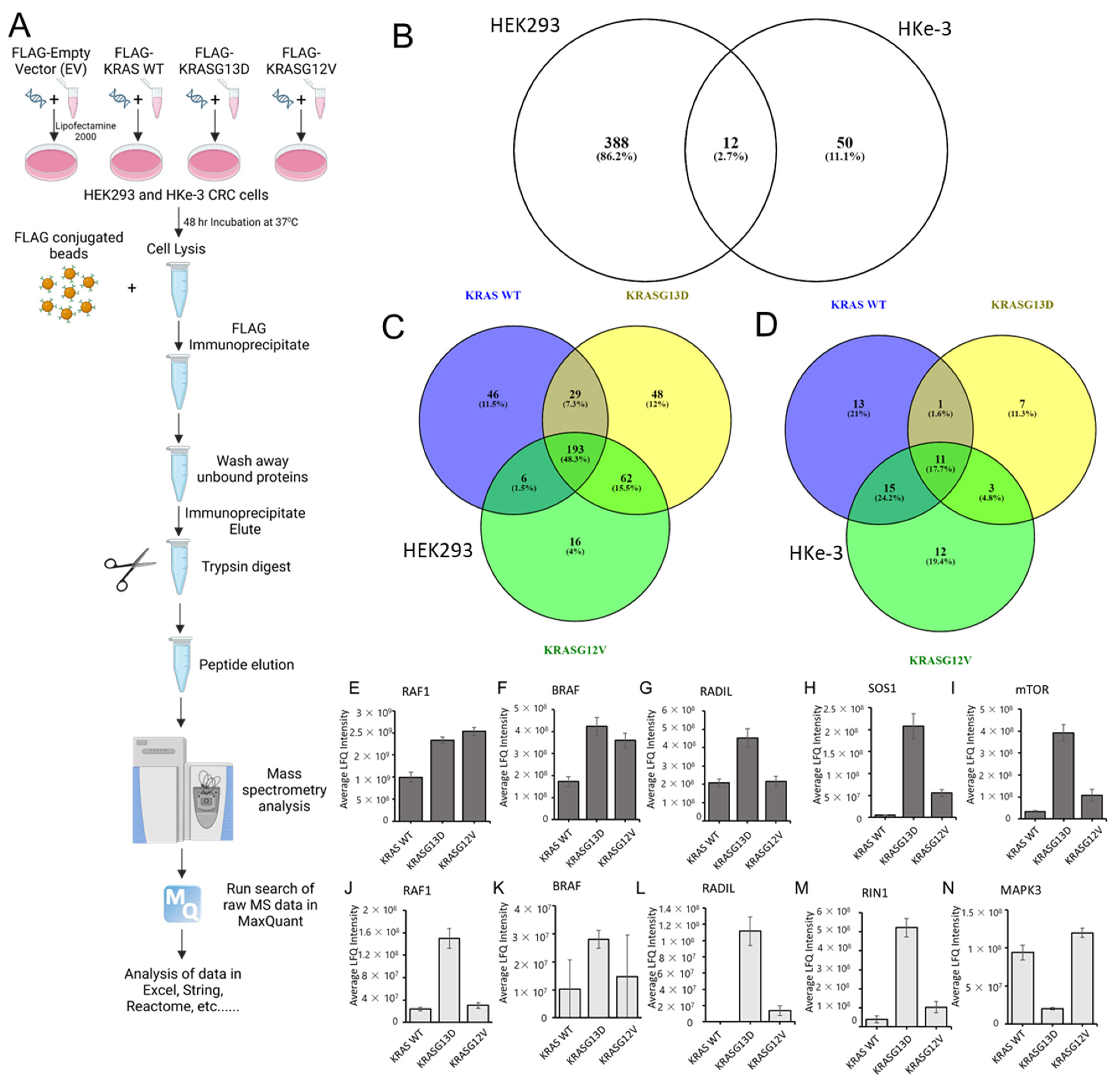 Cancers 15 04141 g002
