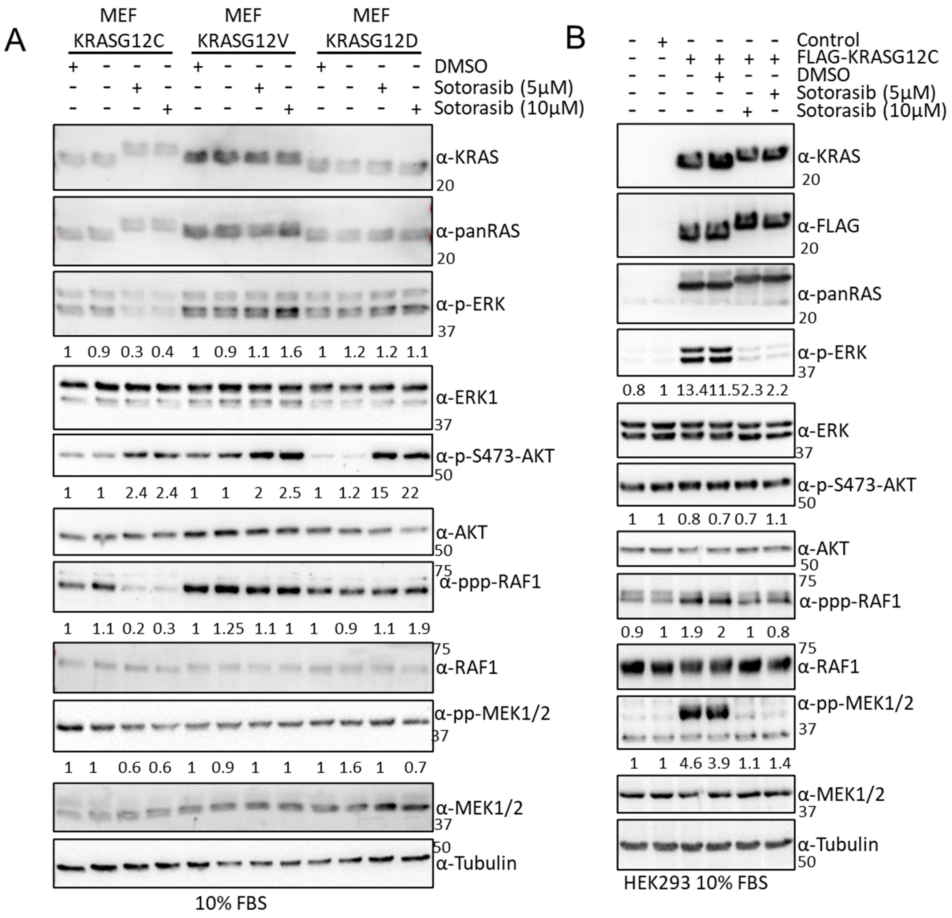 Cancers 15 04141 g005