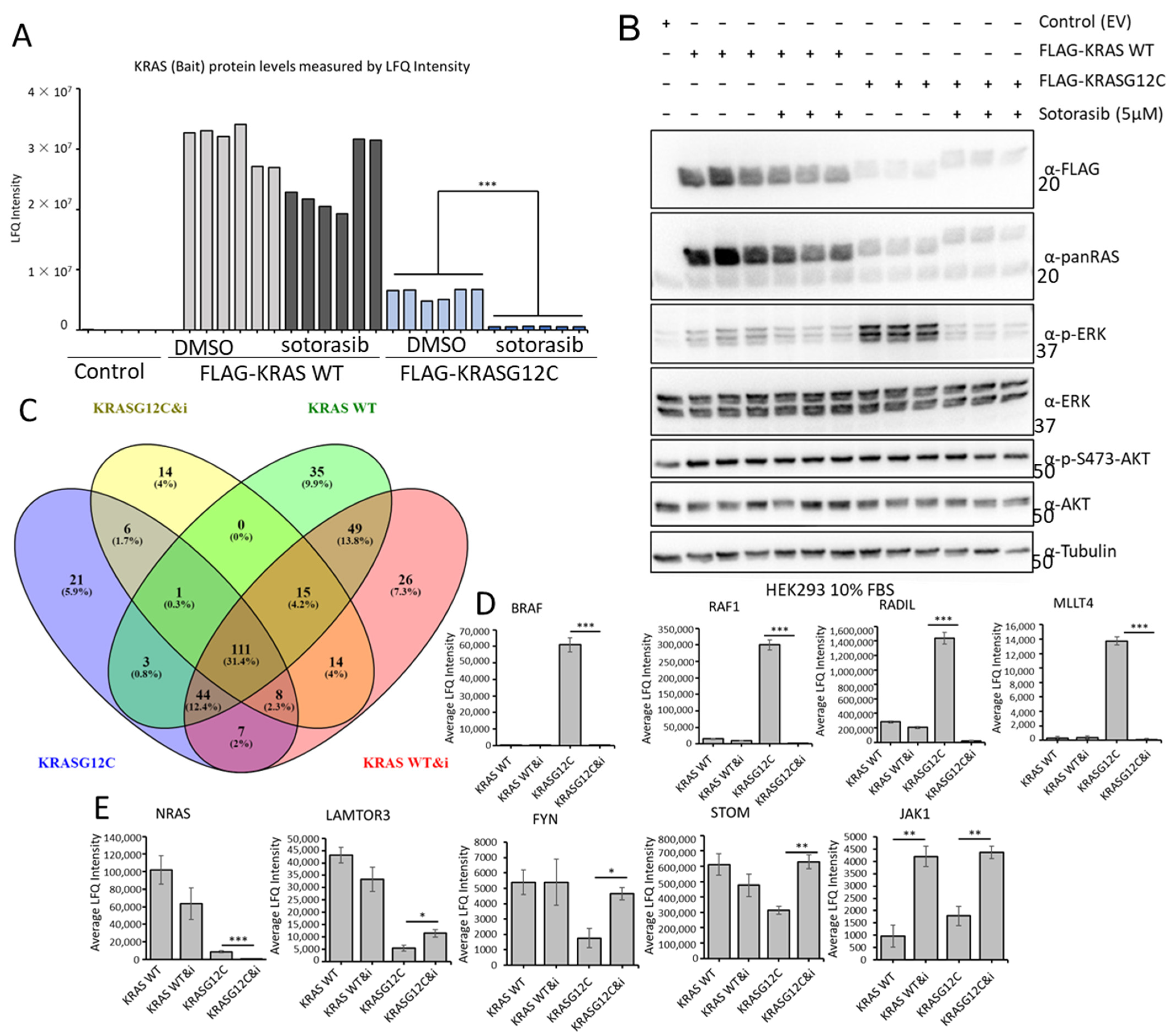 Cancers 15 04141 g006