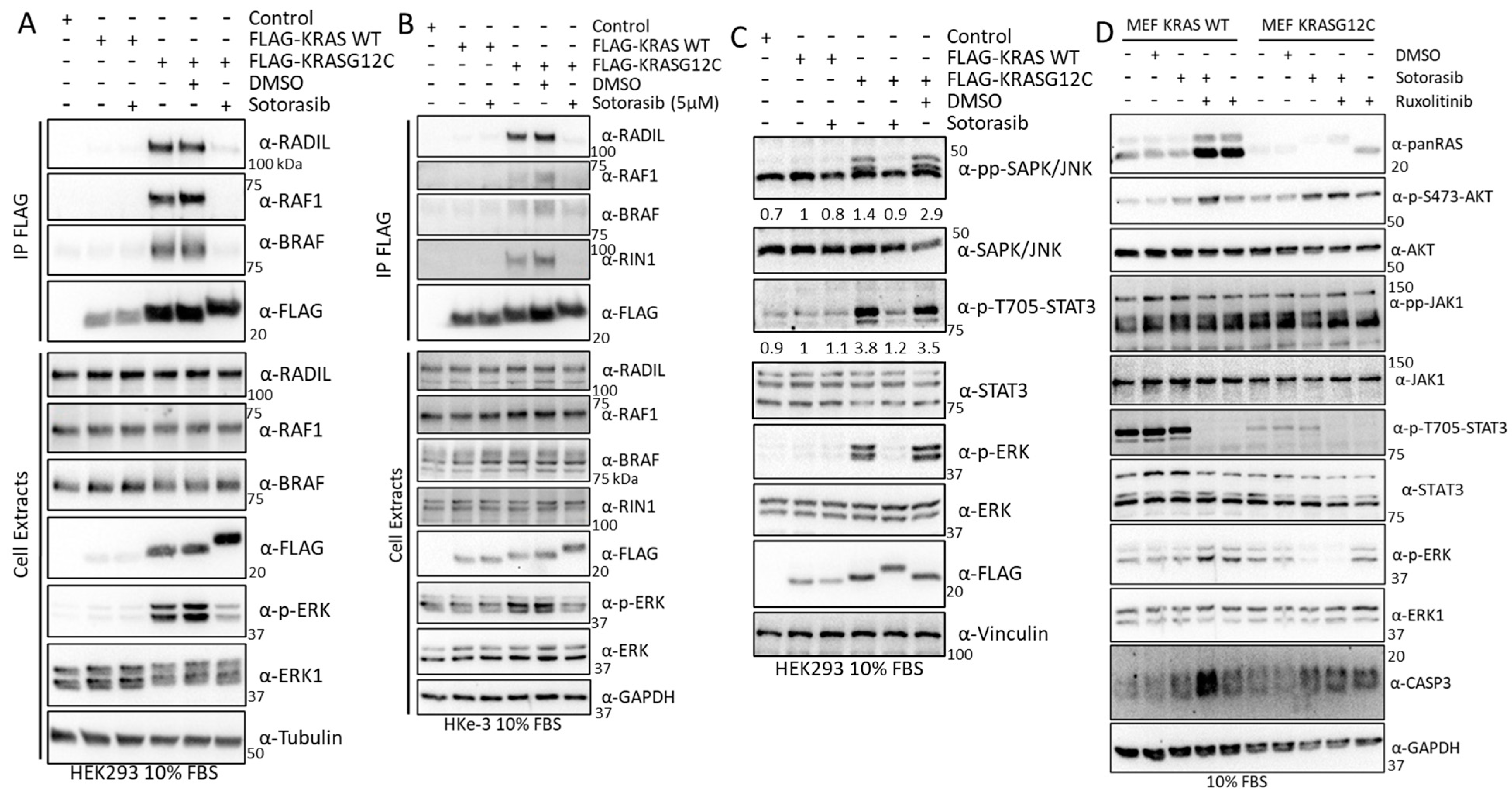Cancers 15 04141 g008