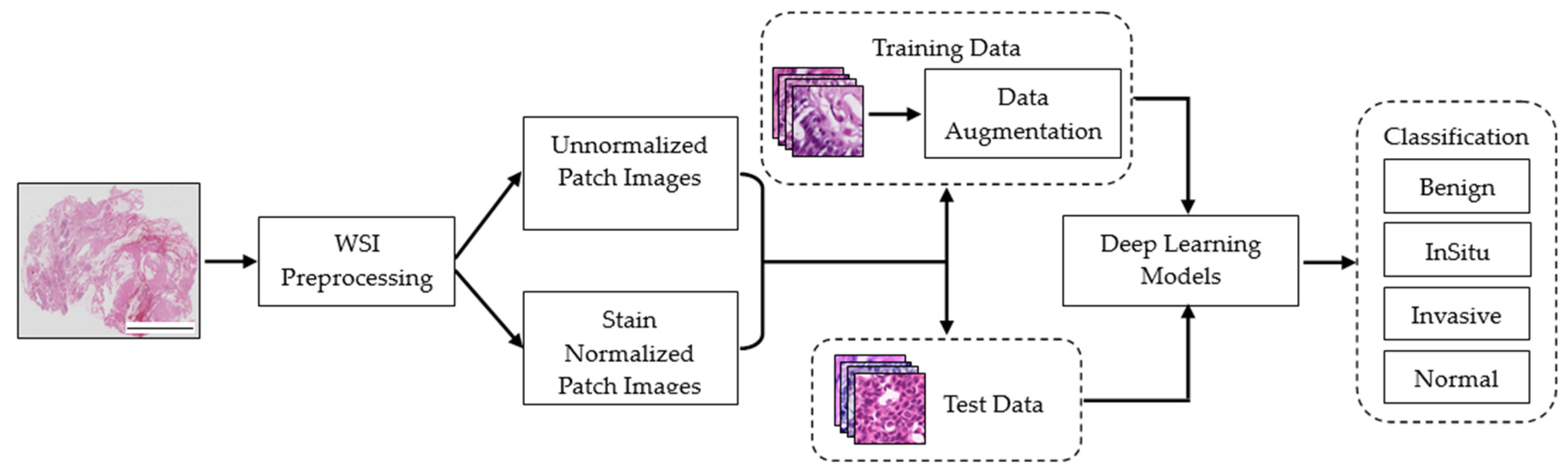 Cancers 15 04144 g004