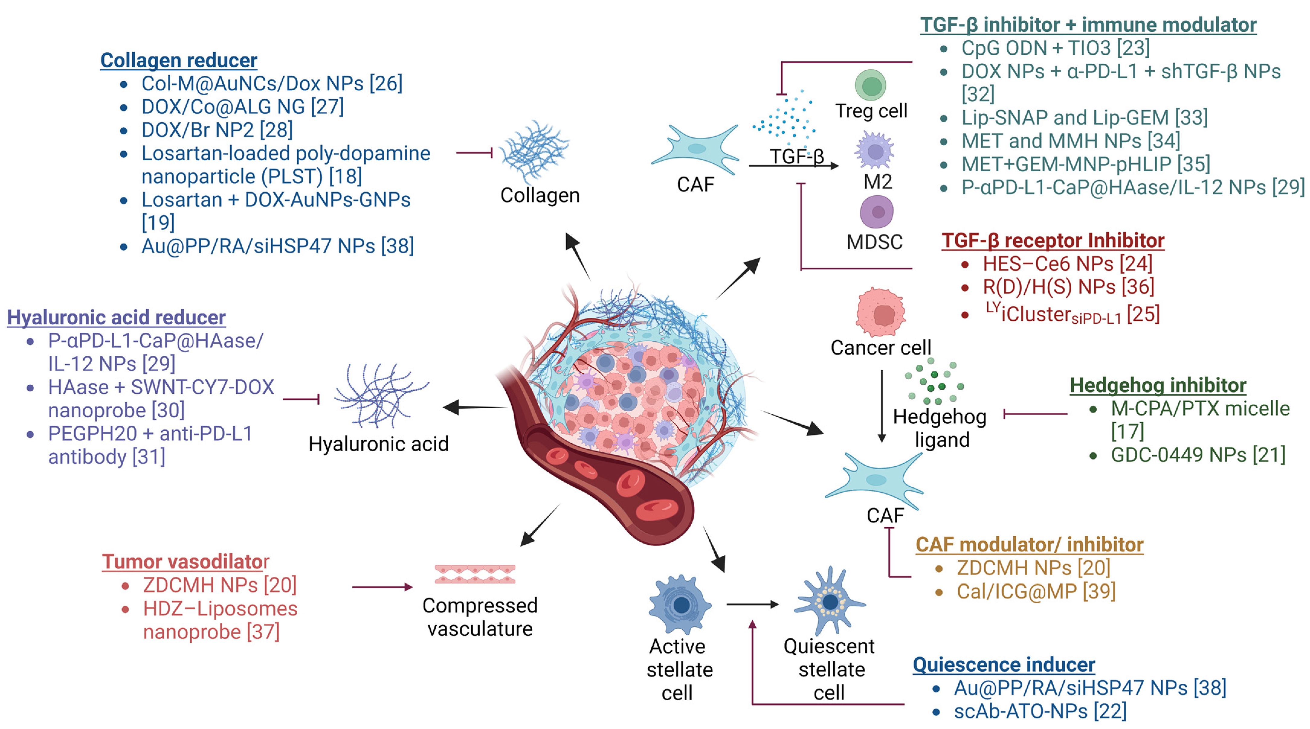 Cancers 15 04145 g001