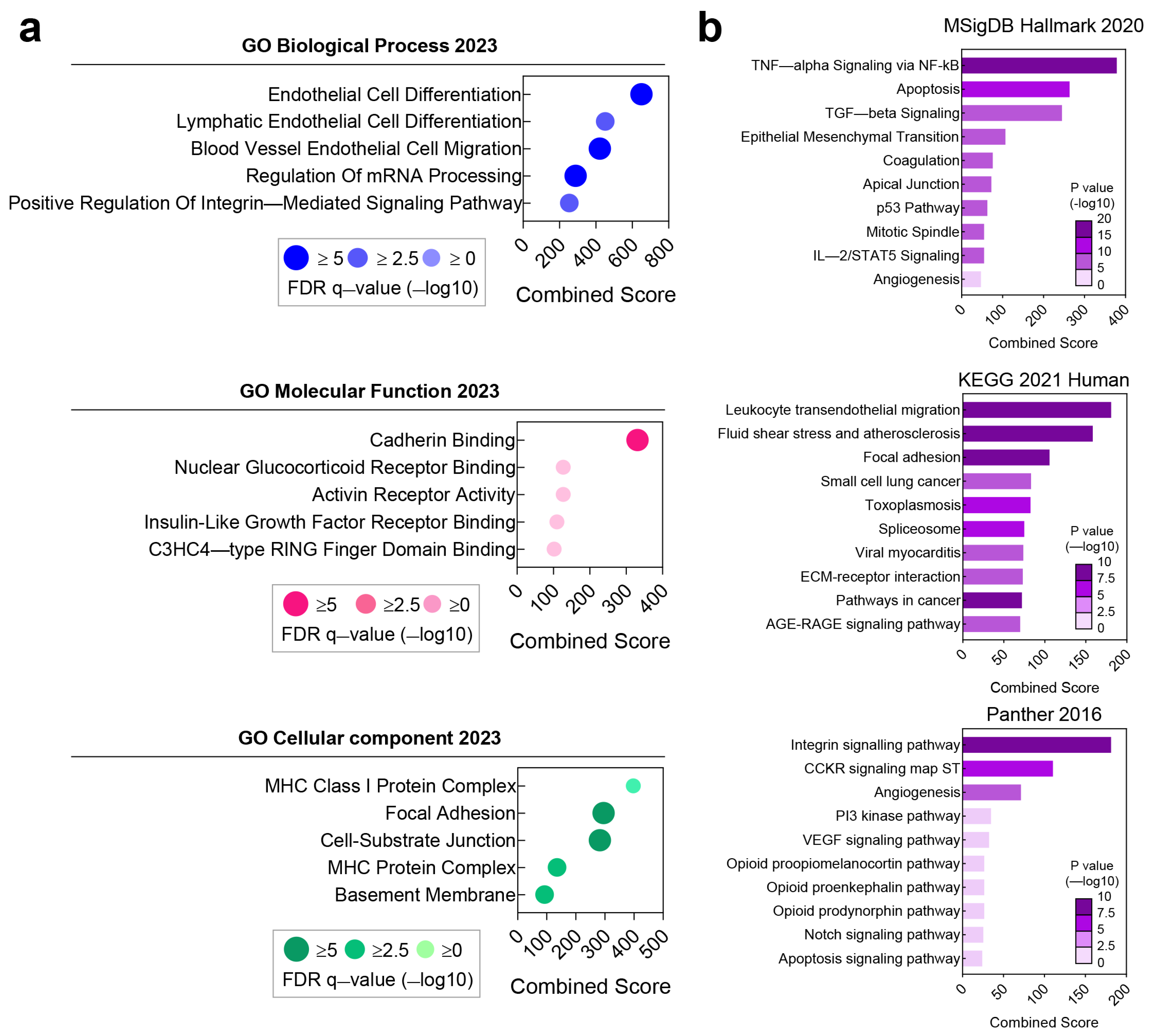 Cancers 15 04156 g003