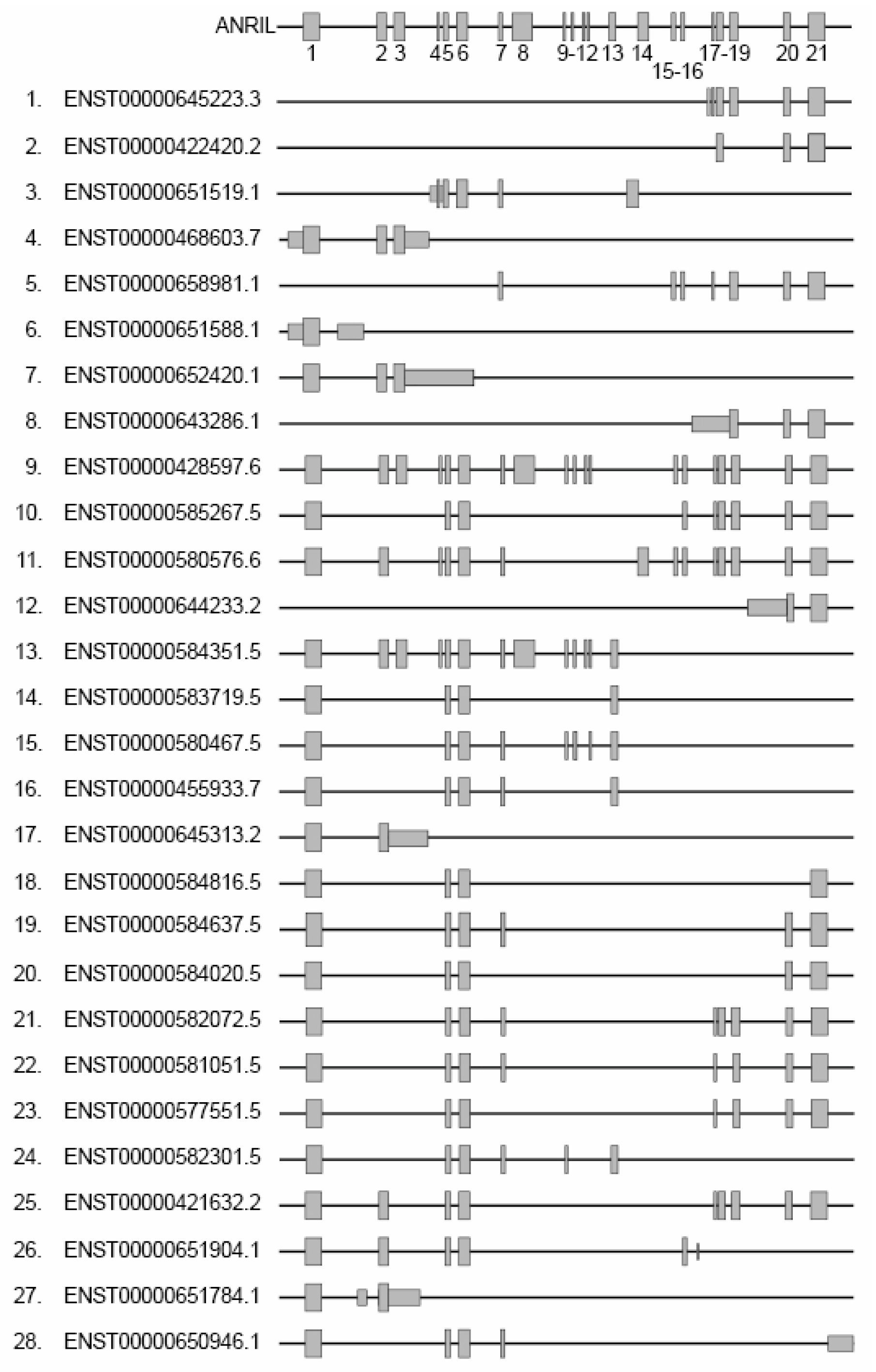 Cancers 15 04160 g002