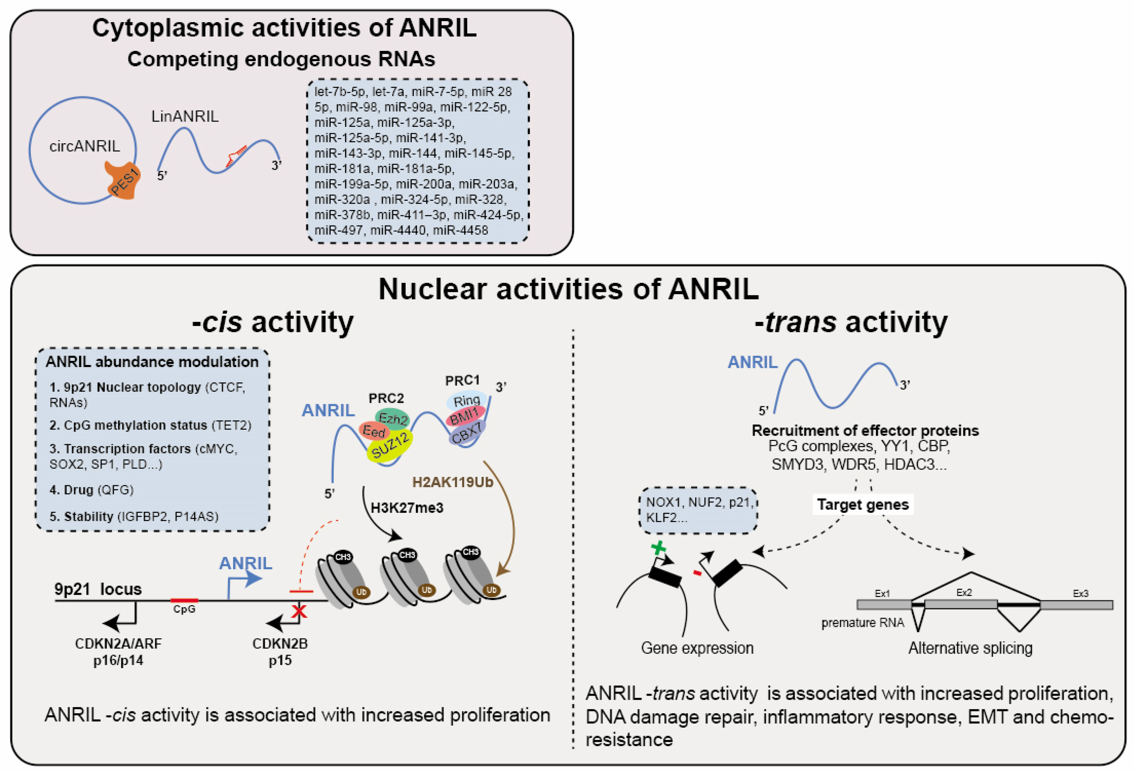 Cancers 15 04160 g003