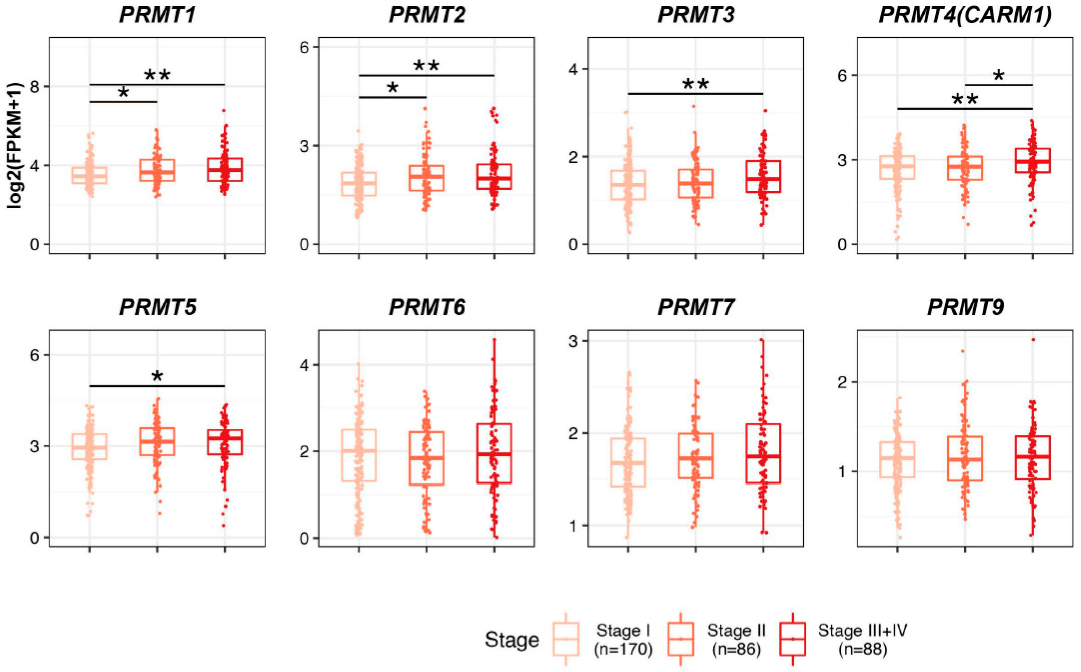 Cancers 15 04183 g002