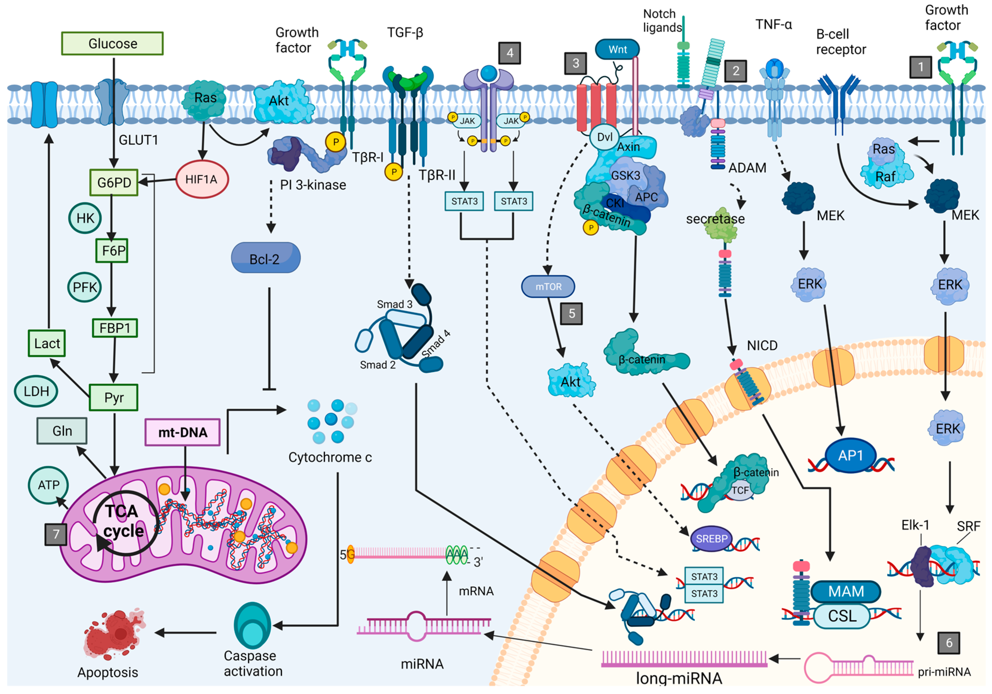 Cancers 15 04186 g002
