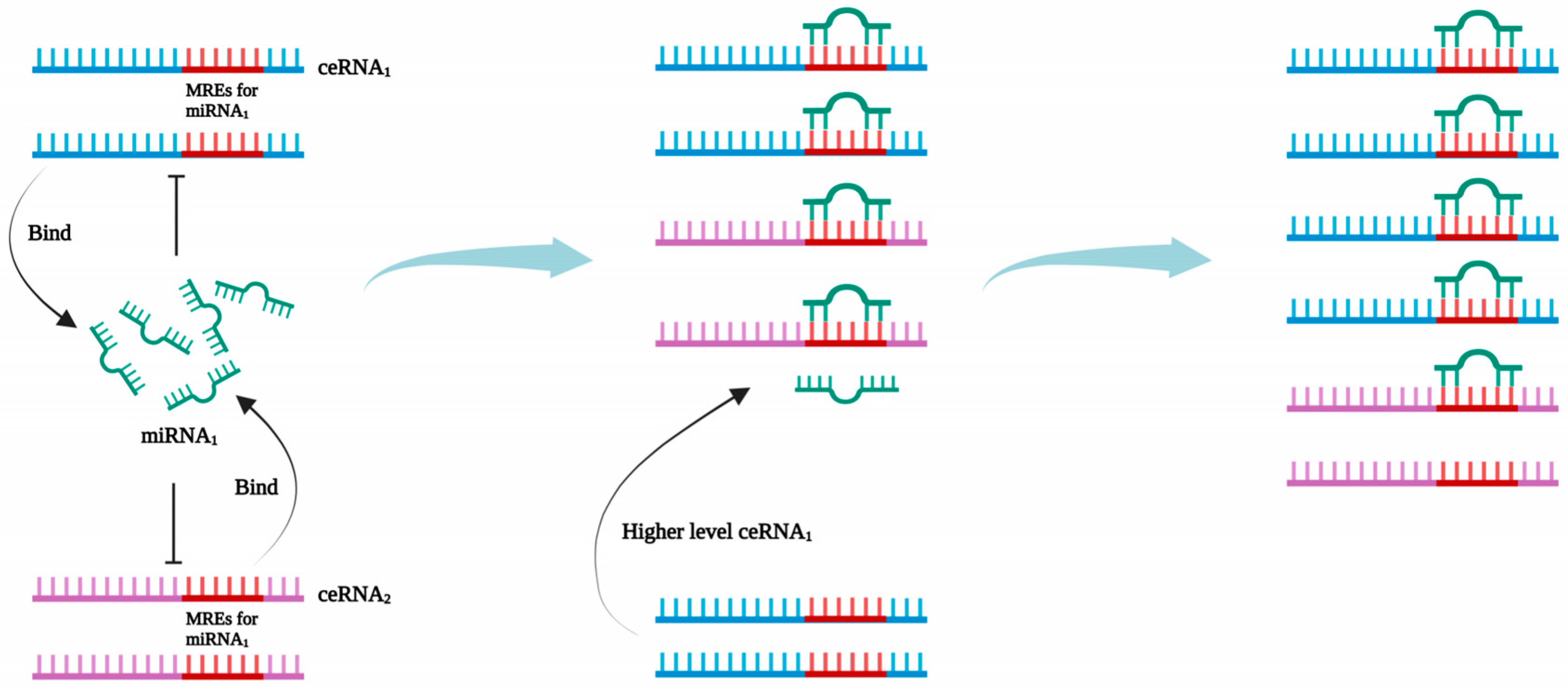 Cancers 15 04187 g001