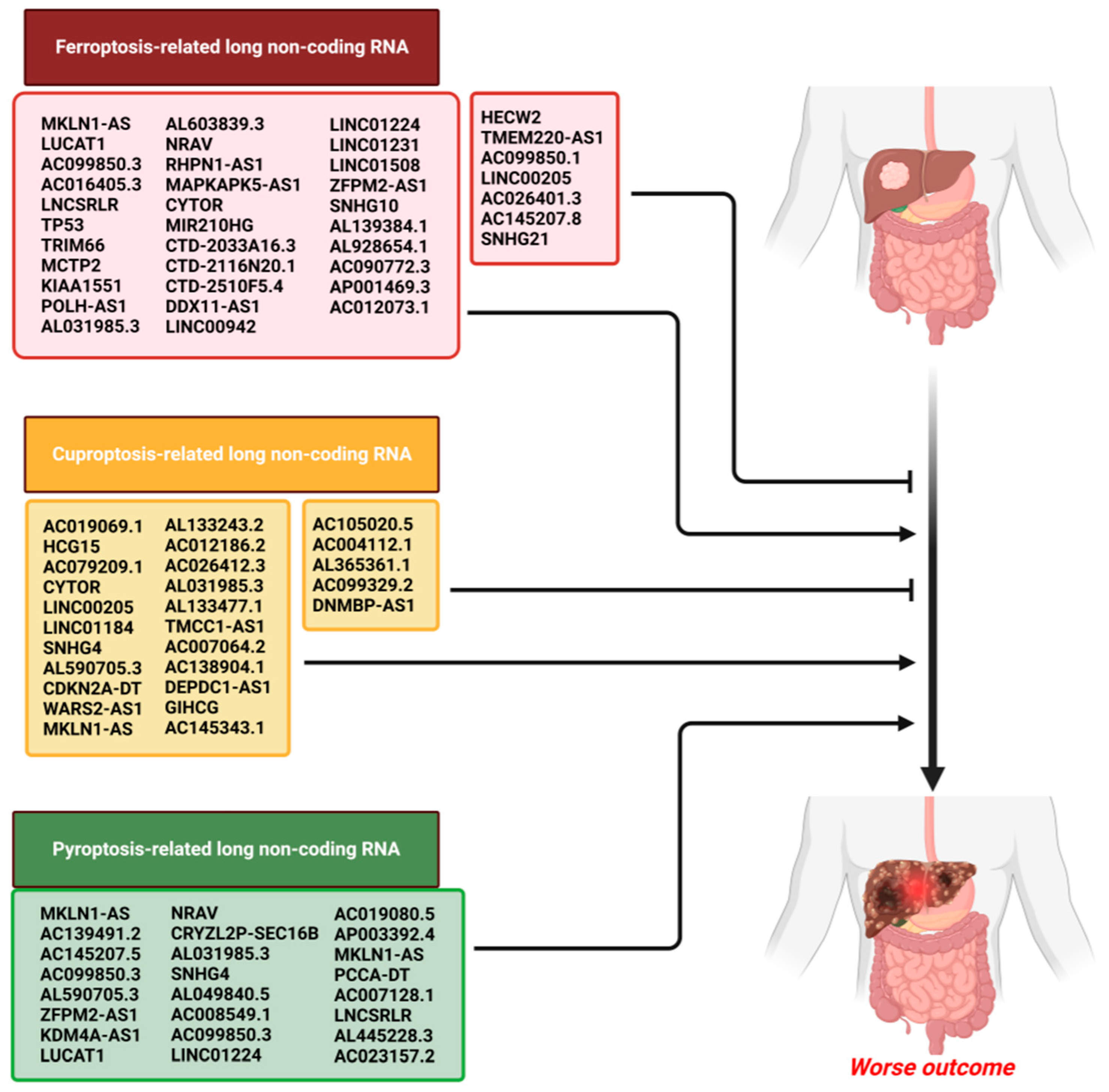 Cancers 15 04187 g002