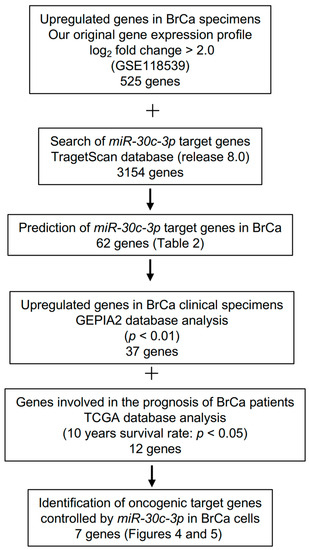 Cancers 15 04189 g003