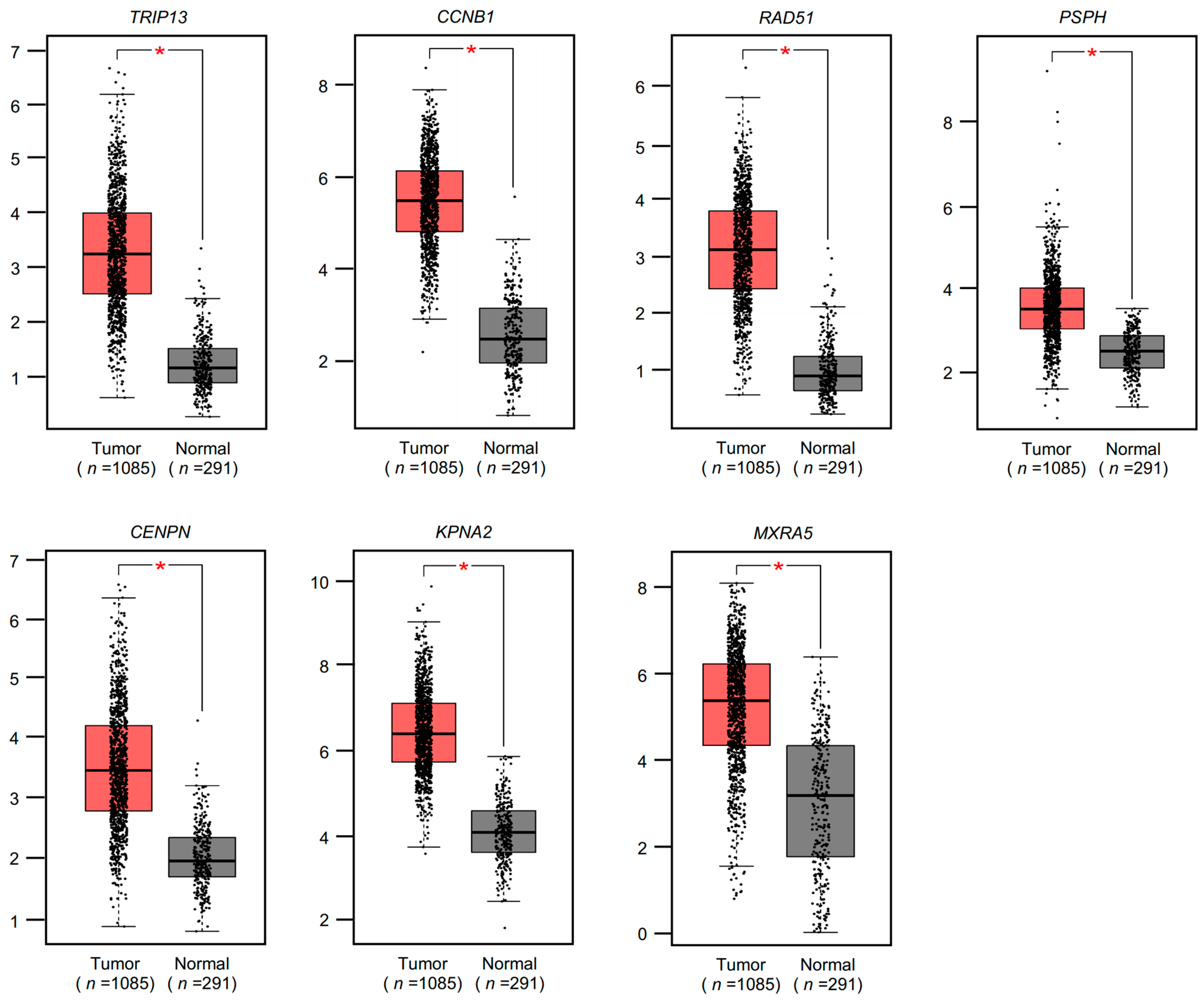 Cancers 15 04189 g004