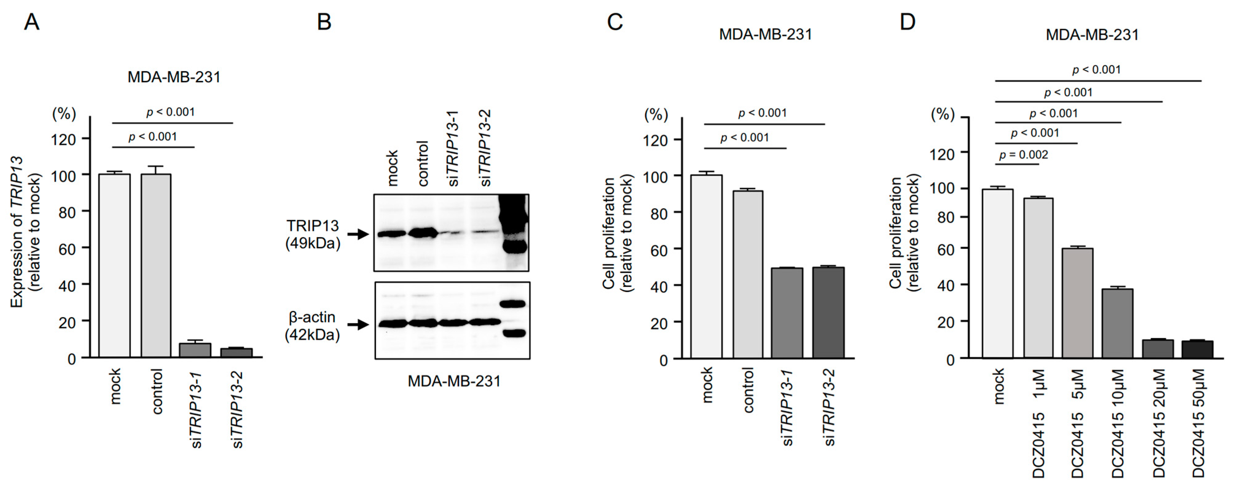 Cancers 15 04189 g010