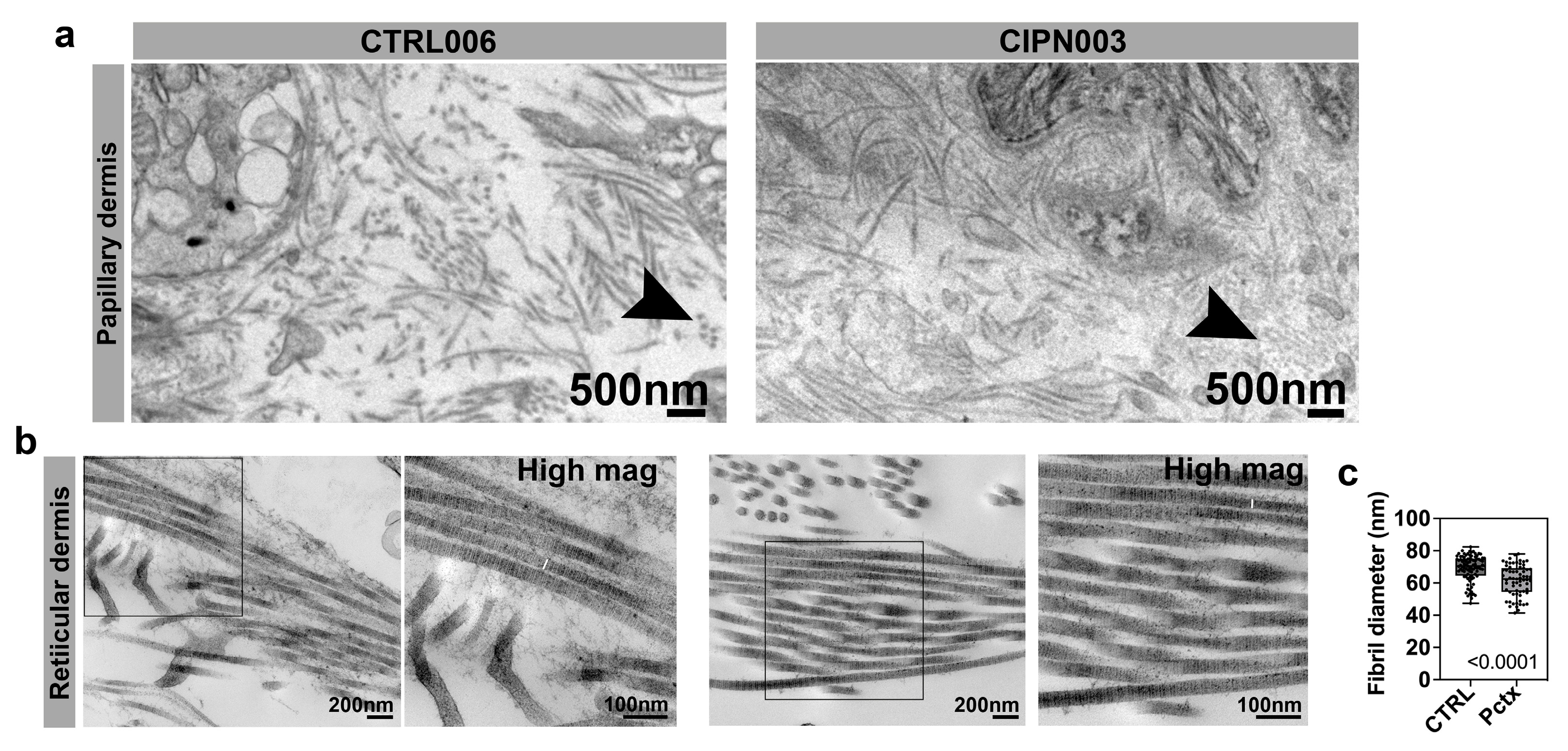 Cancers 15 04191 g004