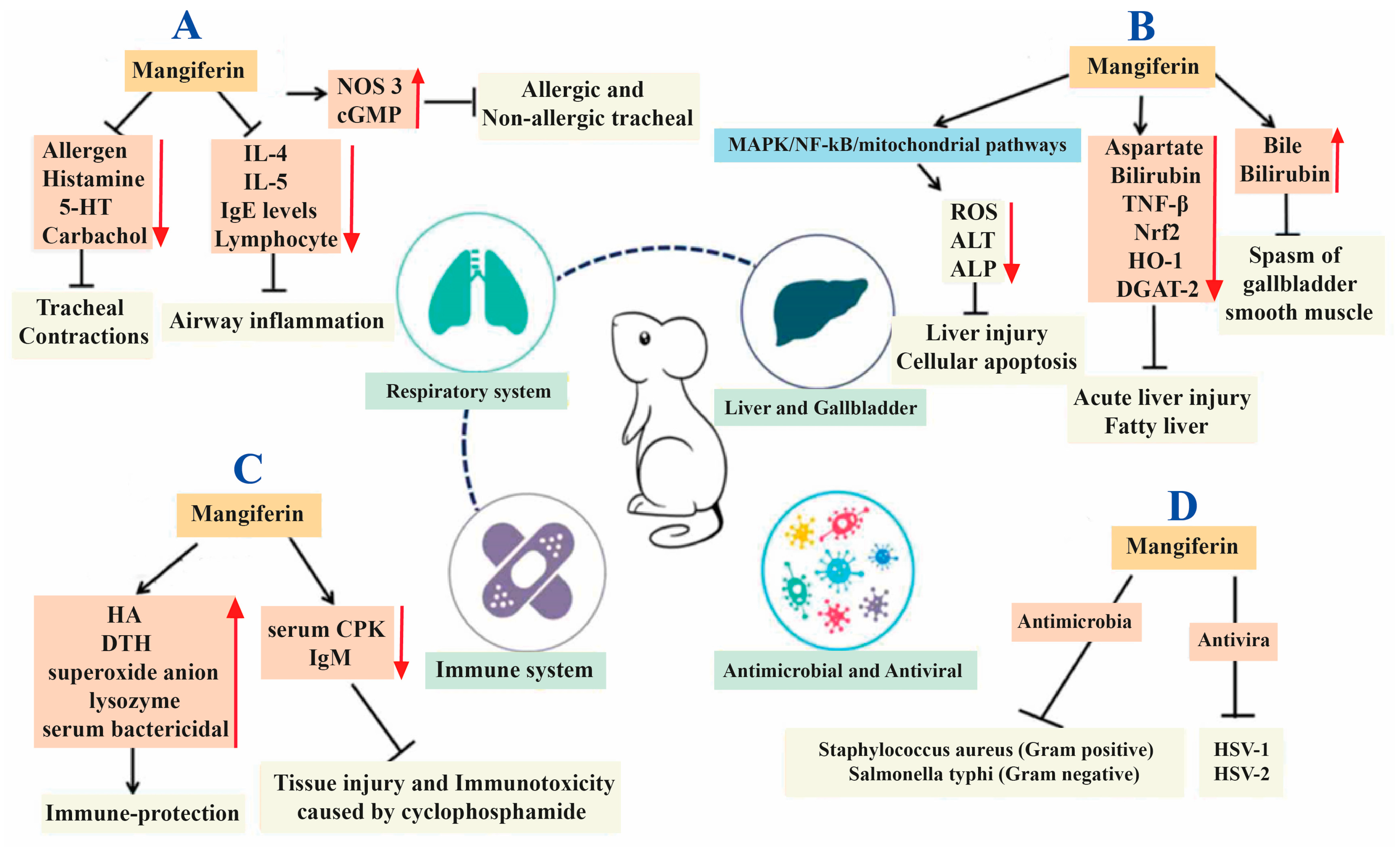 Cancers 15 04194 g002