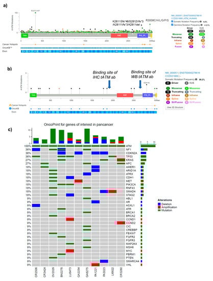 Cancers 15 04195 g0a1