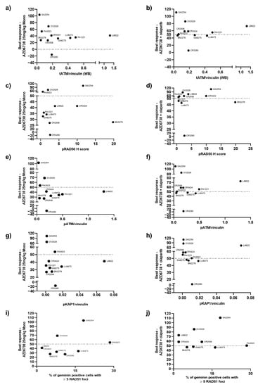 Cancers 15 04195 g0a5