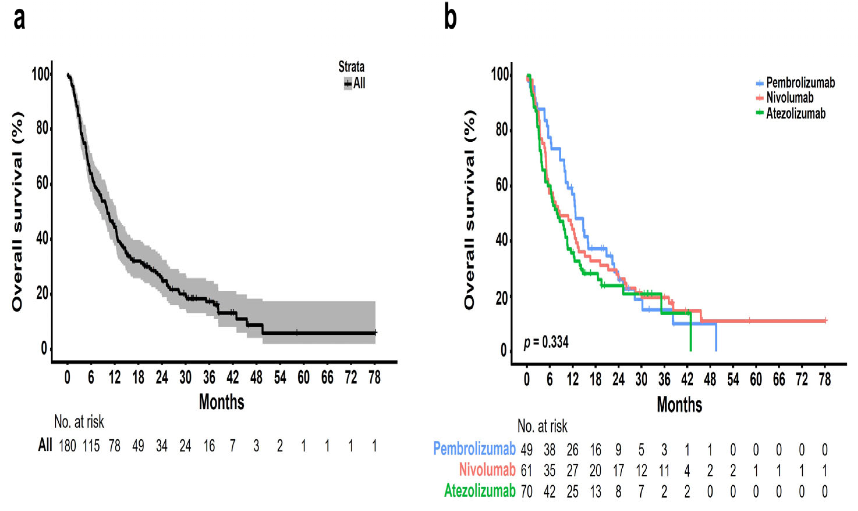 Cancers 15 04198 g002
