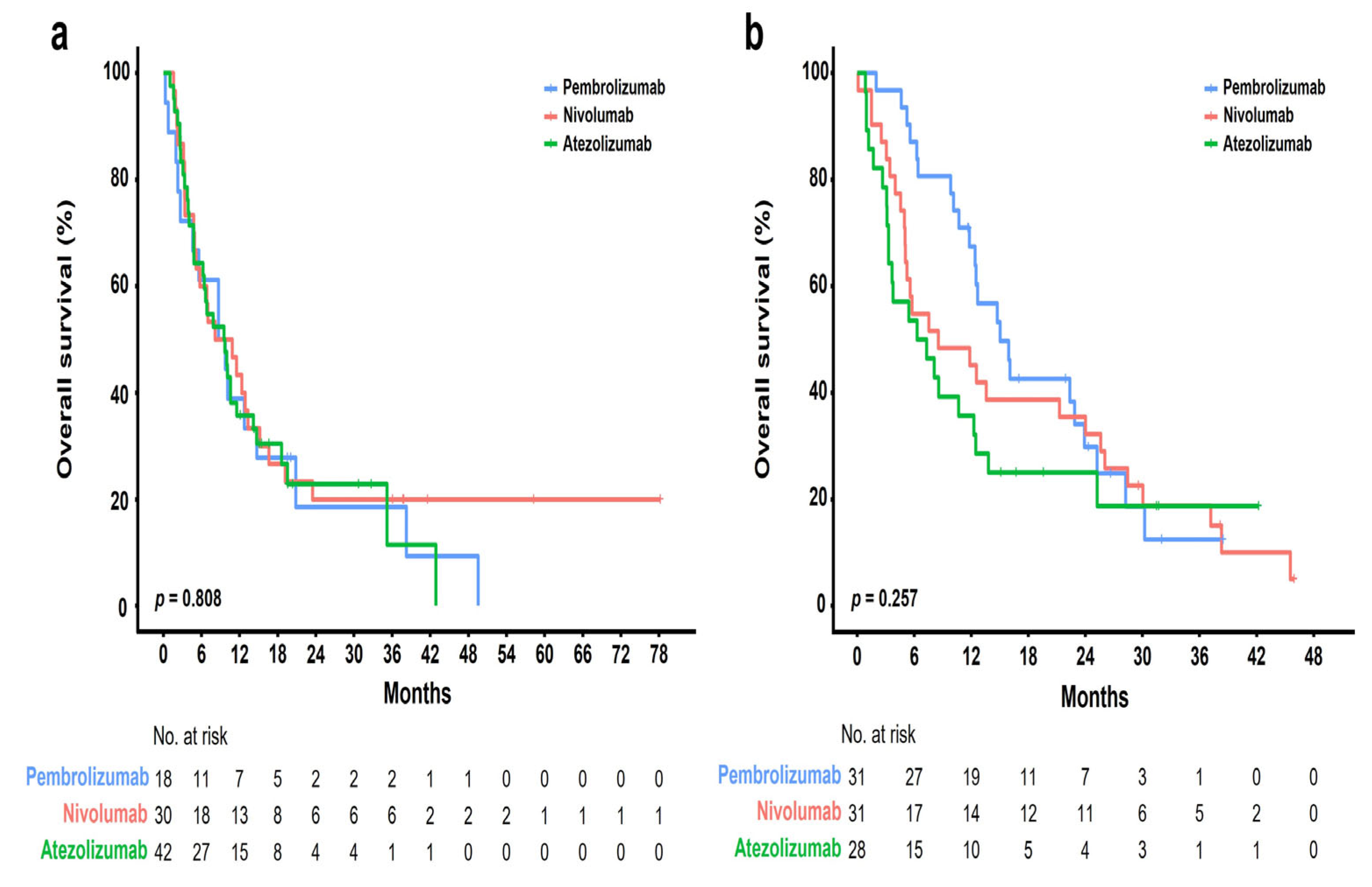 Cancers 15 04198 g003