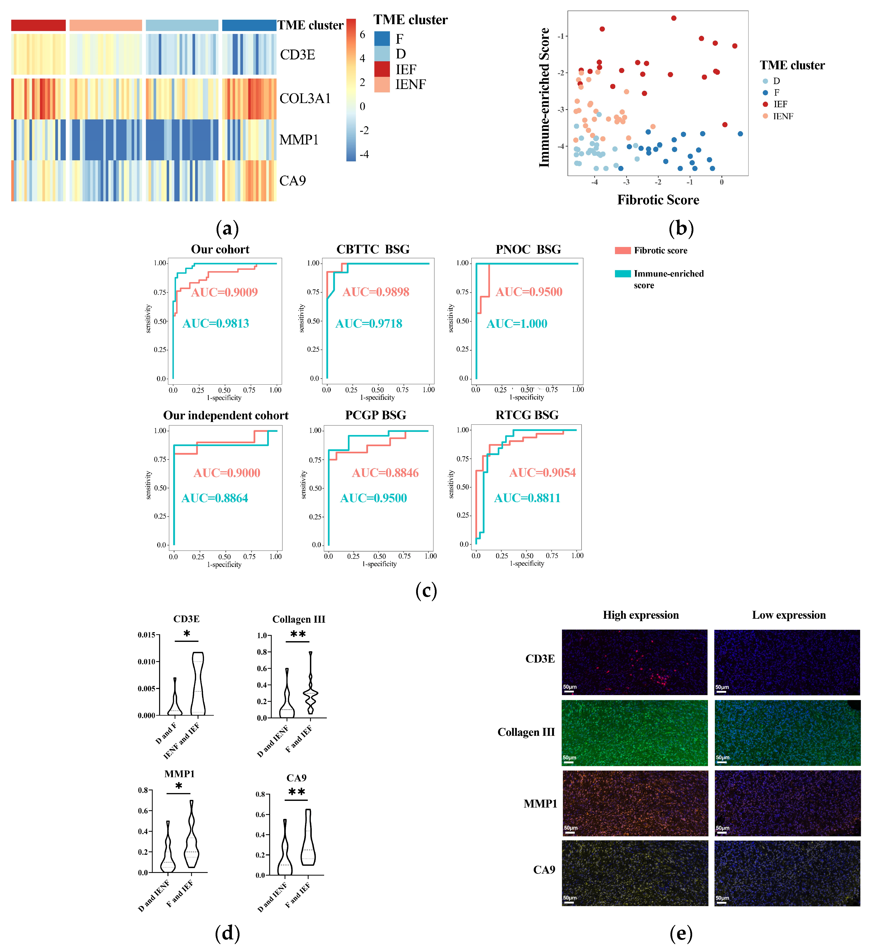 Cancers 15 04224 g005